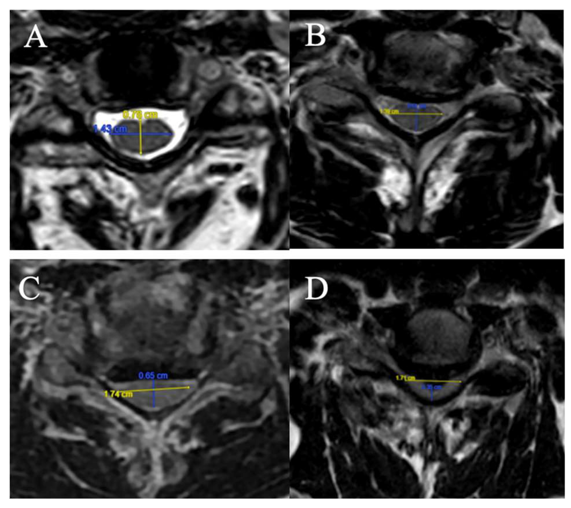 Preprints 156285 g001