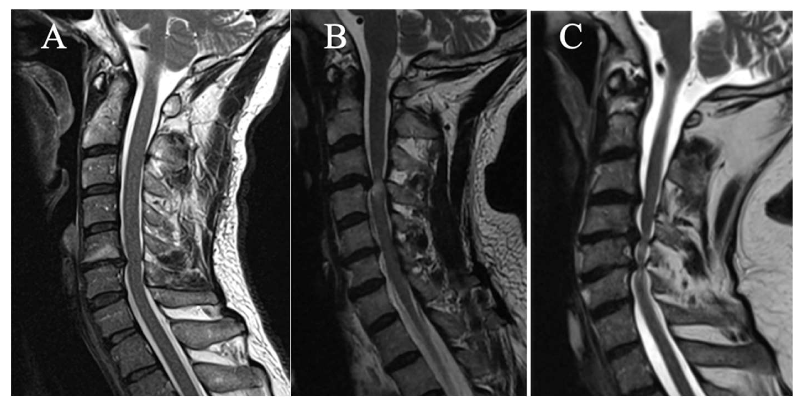 Preprints 156285 g002