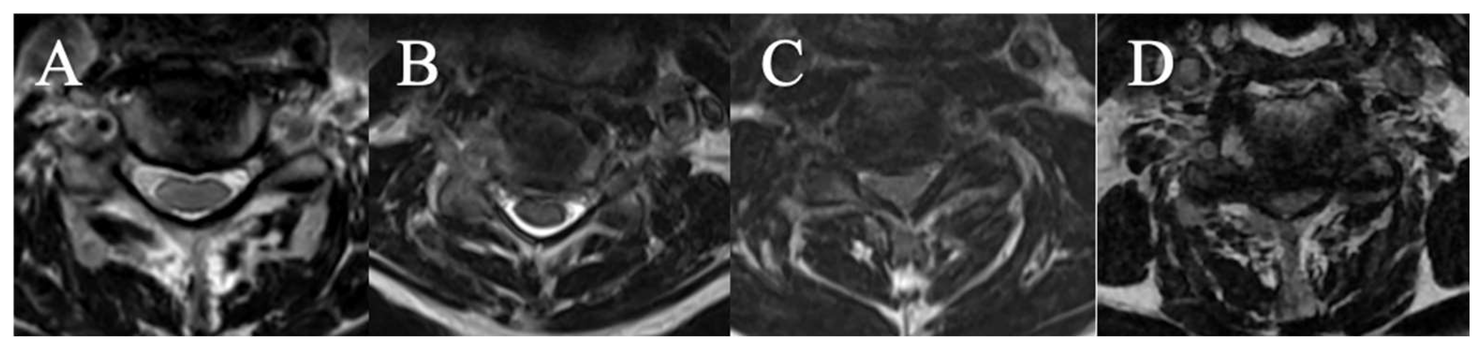 Preprints 156285 g003