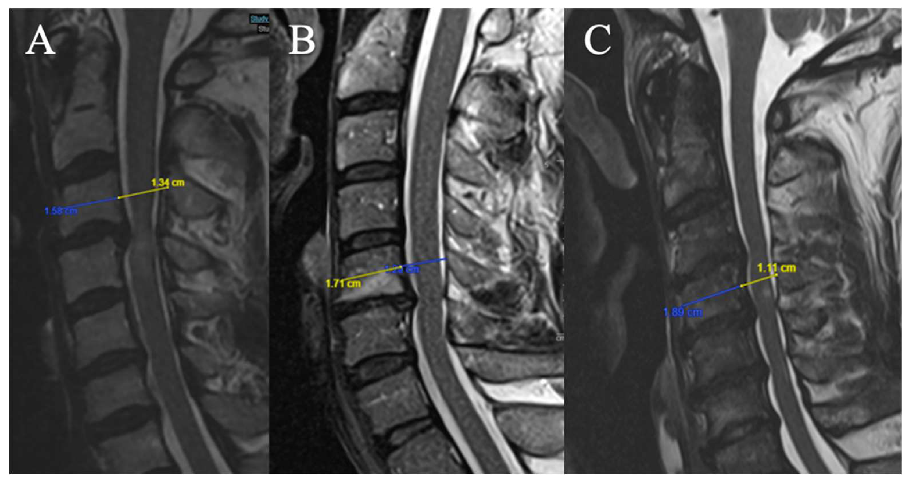 Preprints 156285 g004