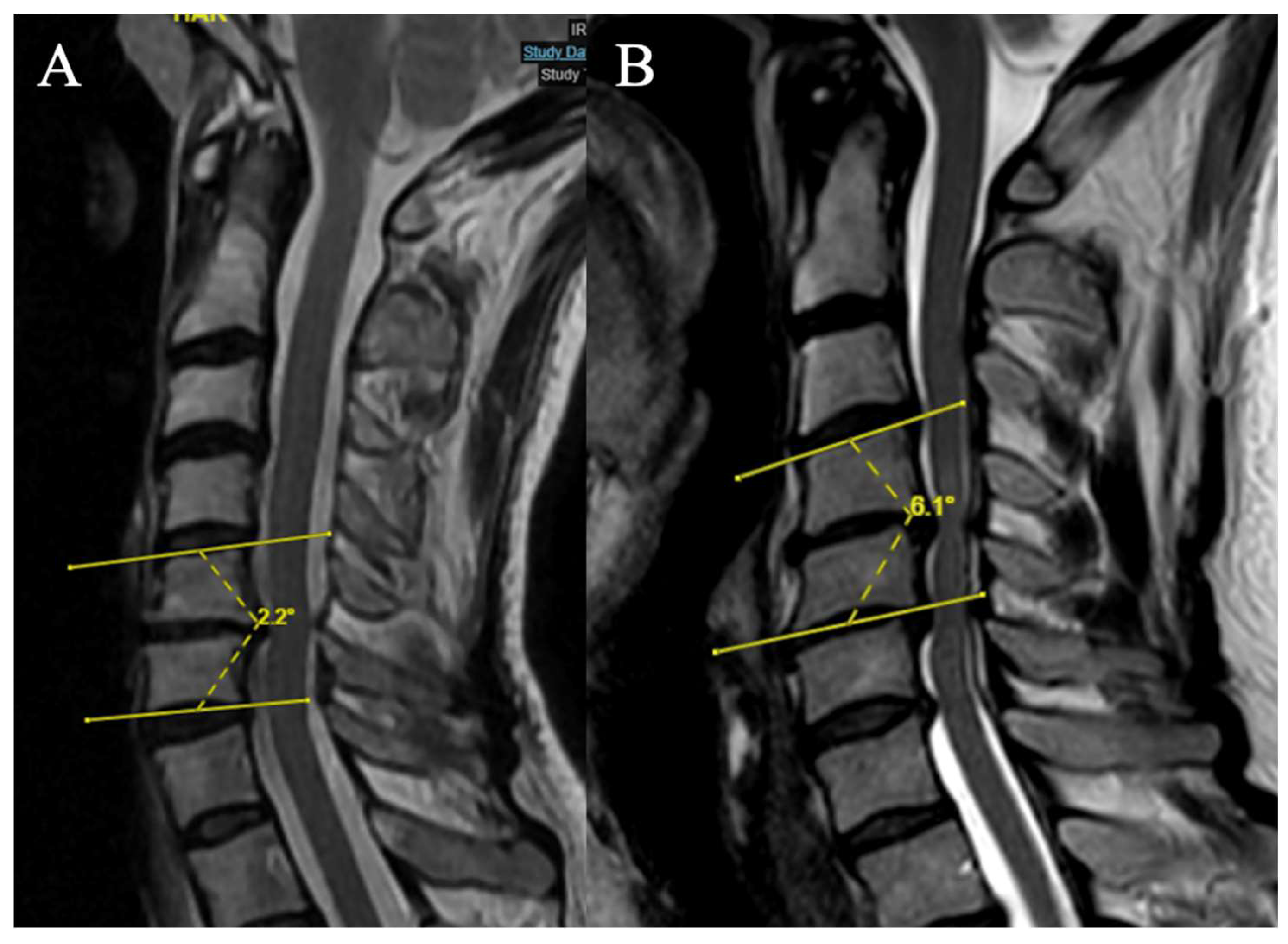 Preprints 156285 g005