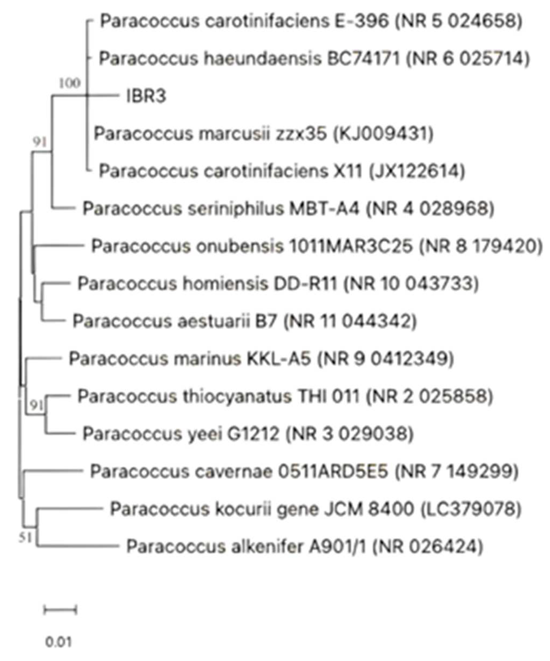 Preprints 161834 g001