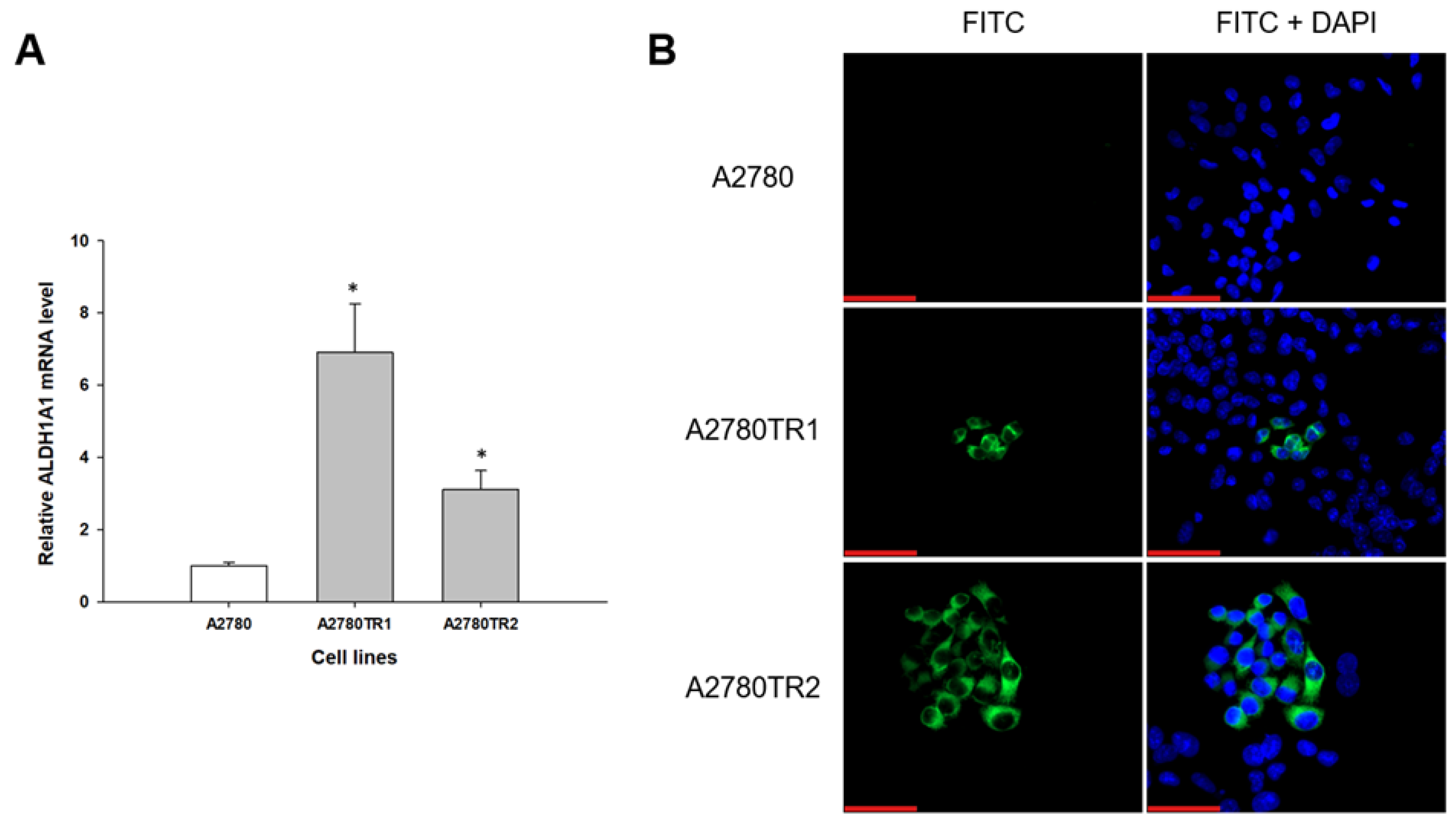Preprints 215764 g002 Preprints 215764 g002