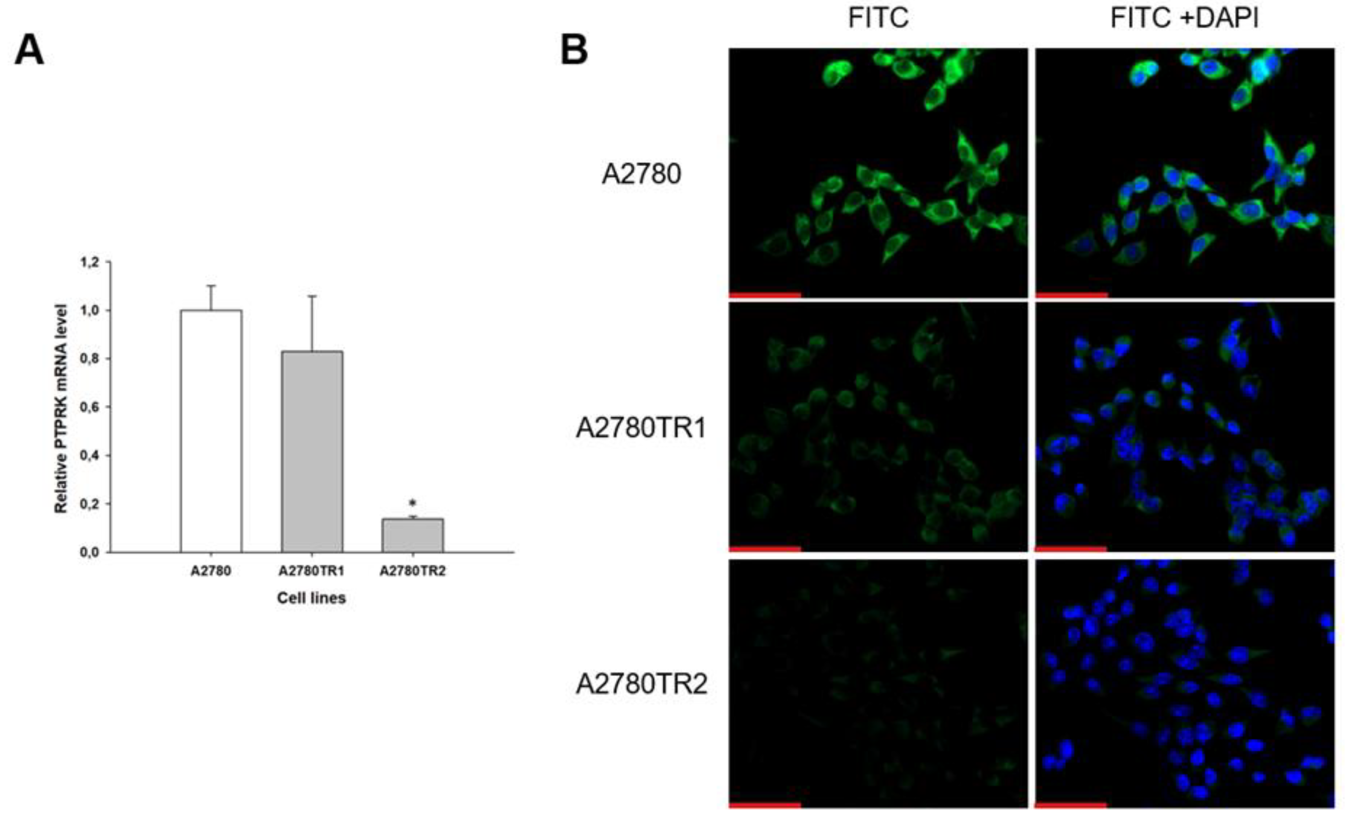 Preprints 215764 g003 Preprints 215764 g003