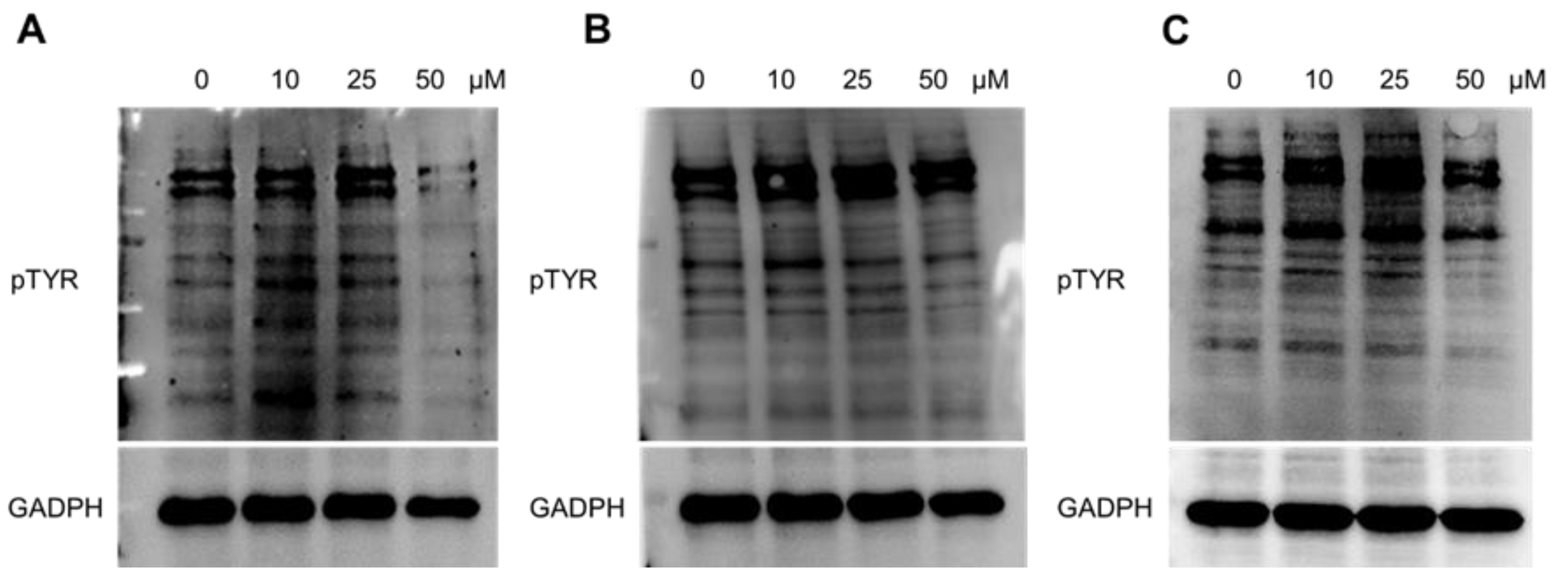 Preprints 215764 g008 Preprints 215764 g008
