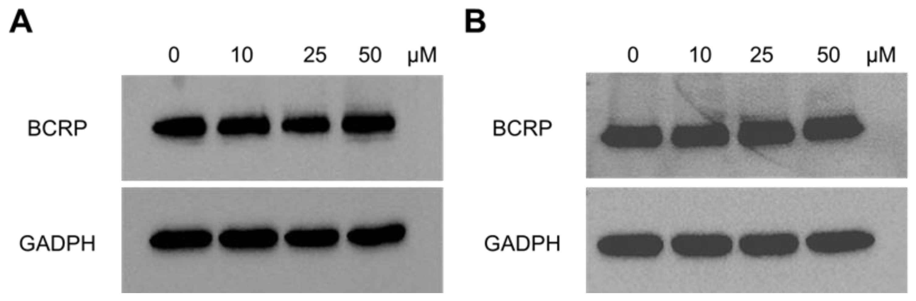 Preprints 215764 g010 Preprints 215764 g010