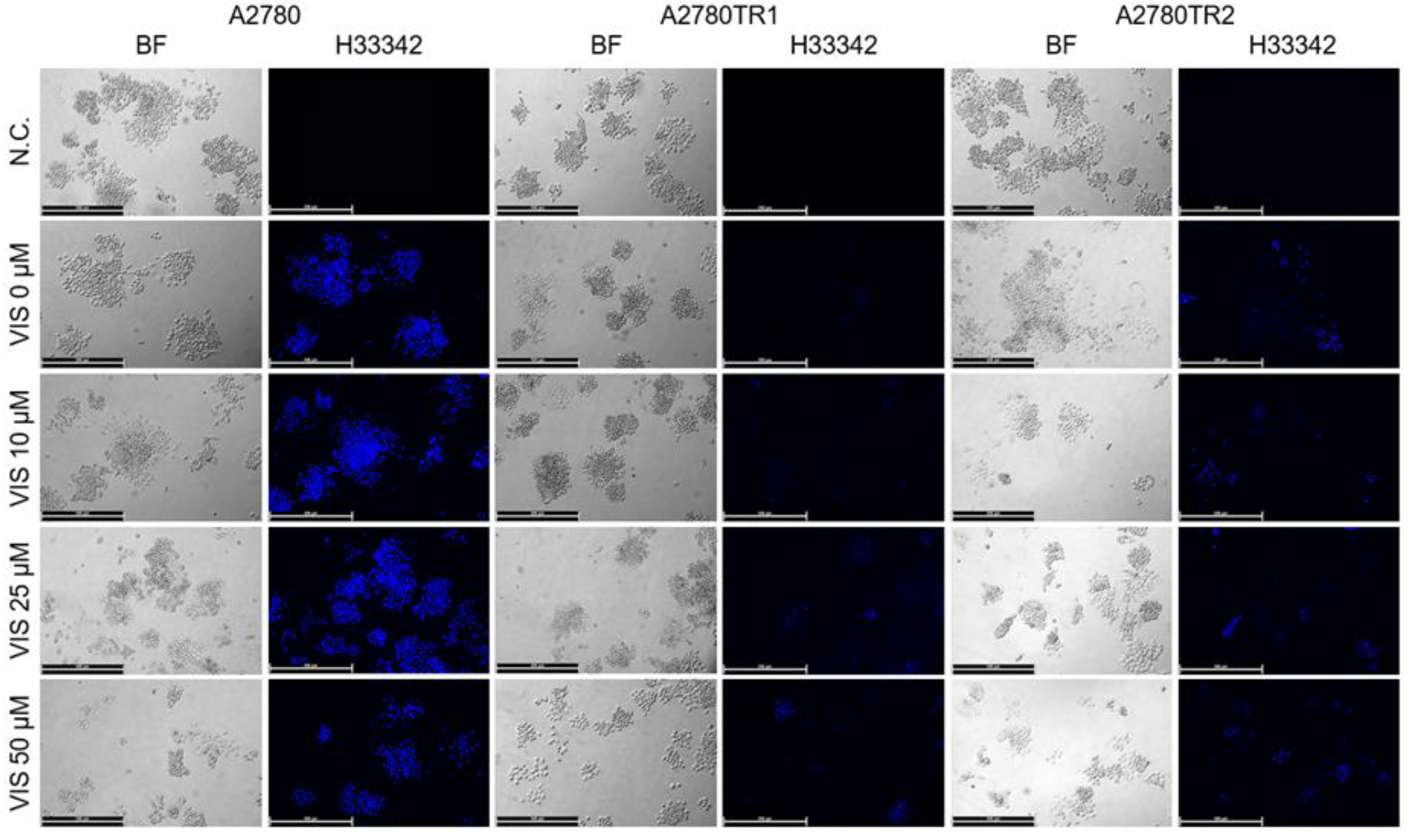 Preprints 215764 g011 Preprints 215764 g011