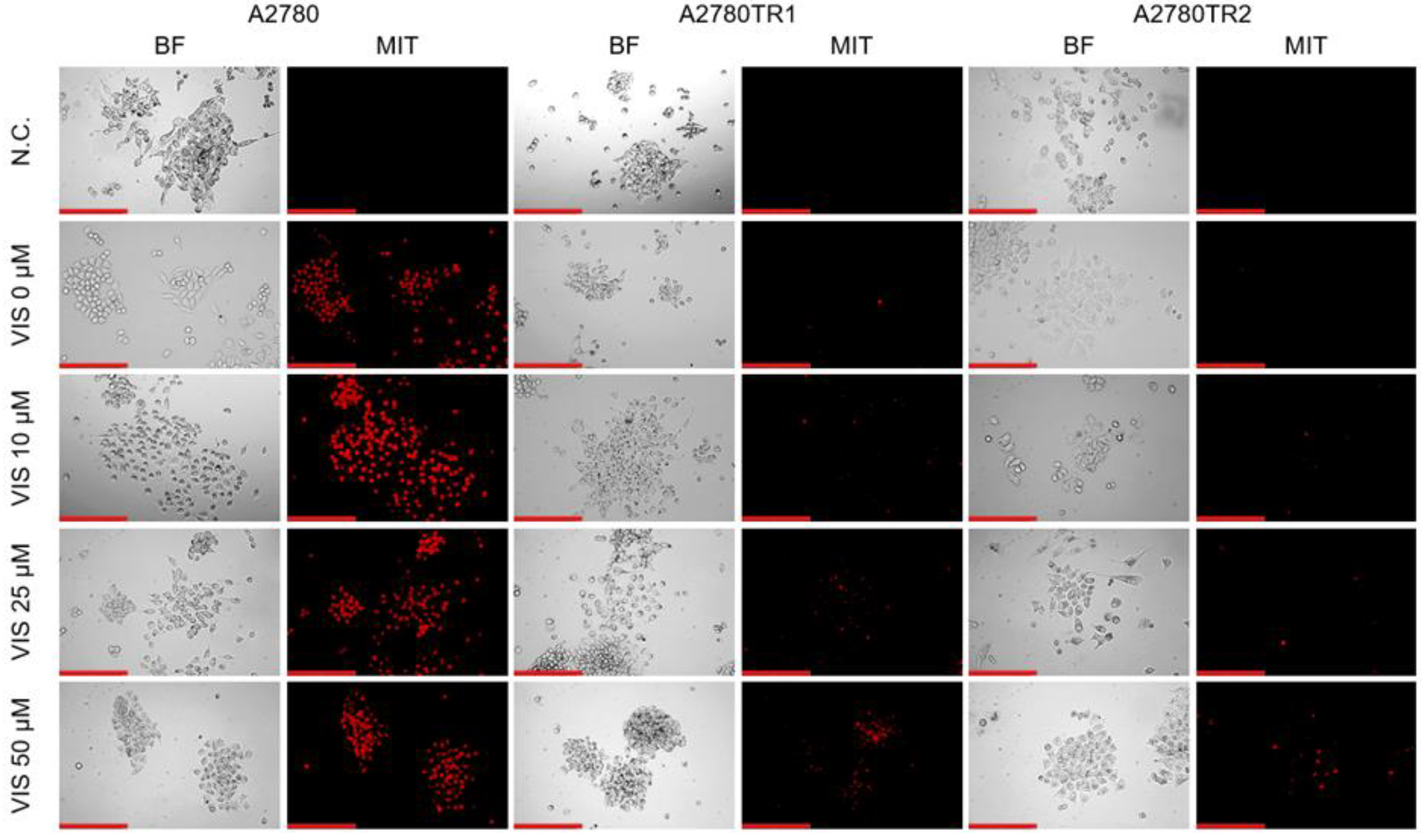 Preprints 215764 g013 Preprints 215764 g013