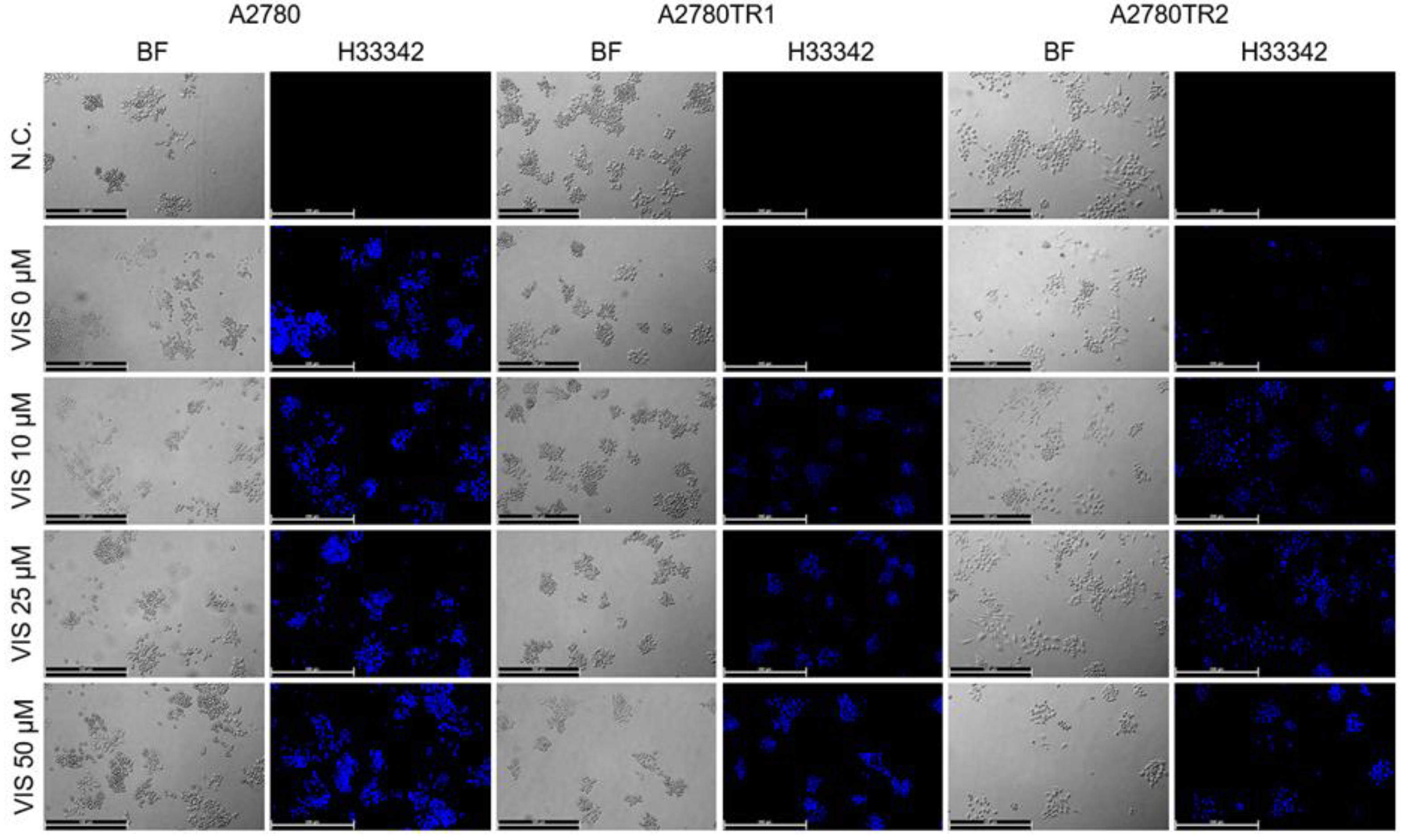 Preprints 215764 g015 Preprints 215764 g015