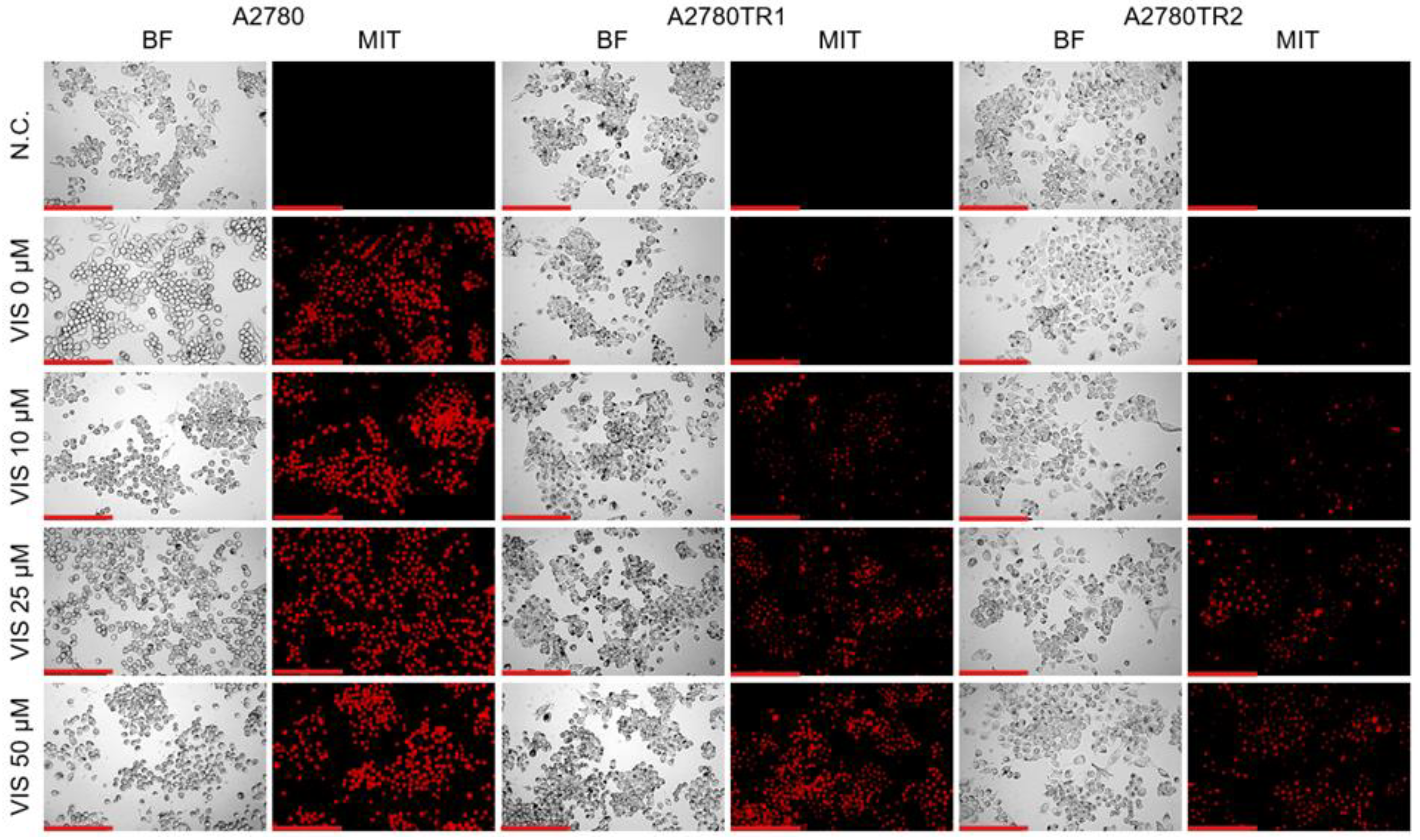 Preprints 215764 g017 Preprints 215764 g017