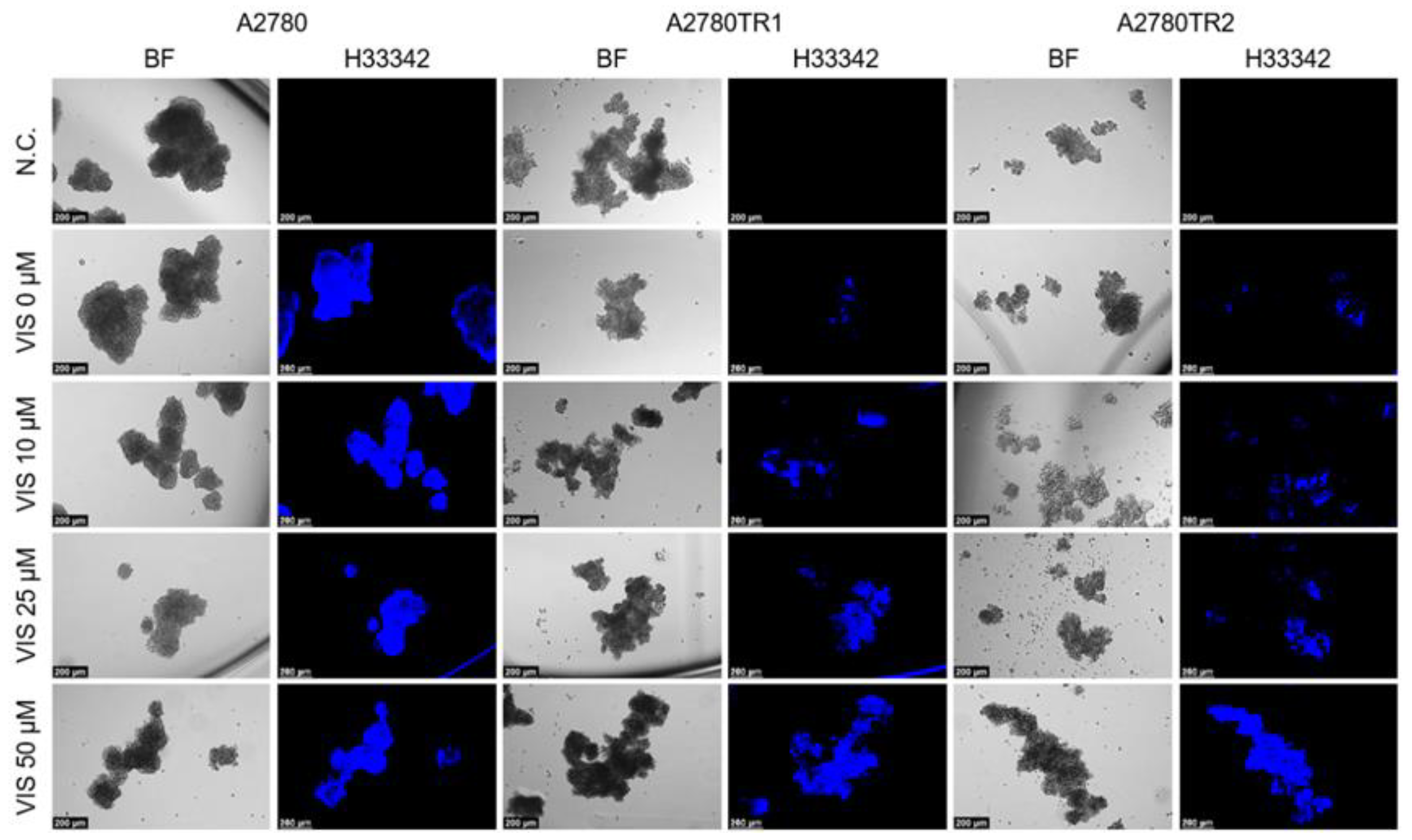 Preprints 215764 g020 Preprints 215764 g020