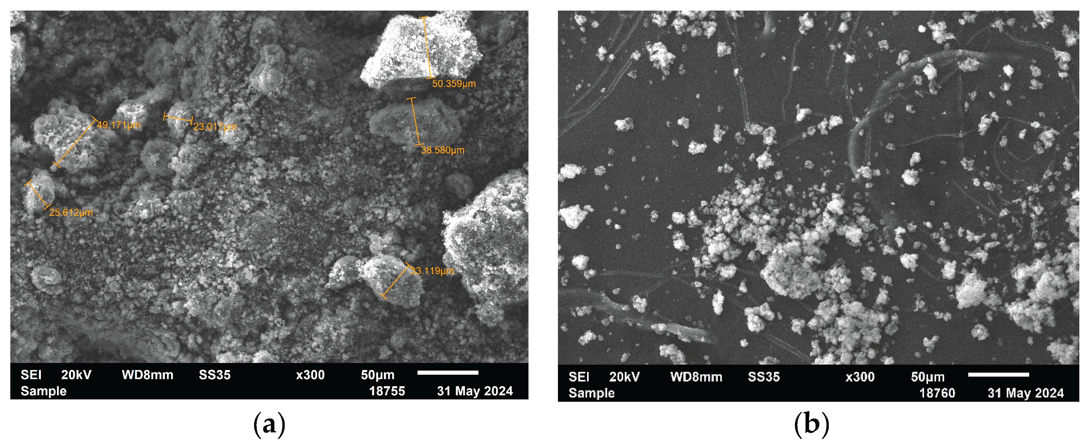 Preprints 174001 g003a