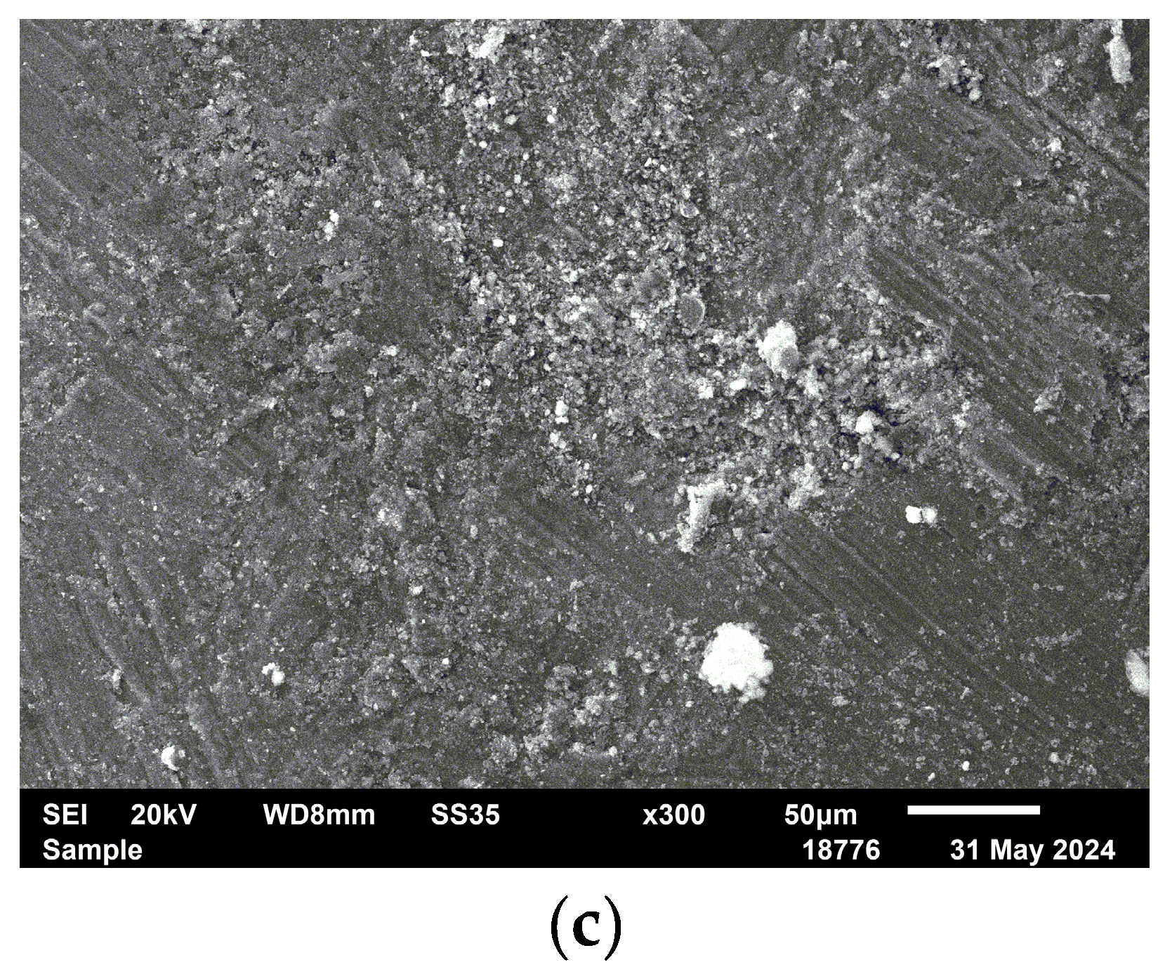 Preprints 174001 g003b