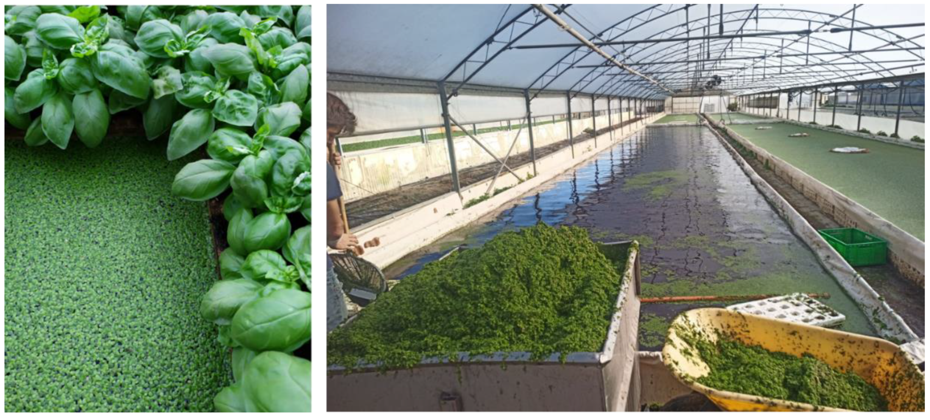 Preprints 139180 g001