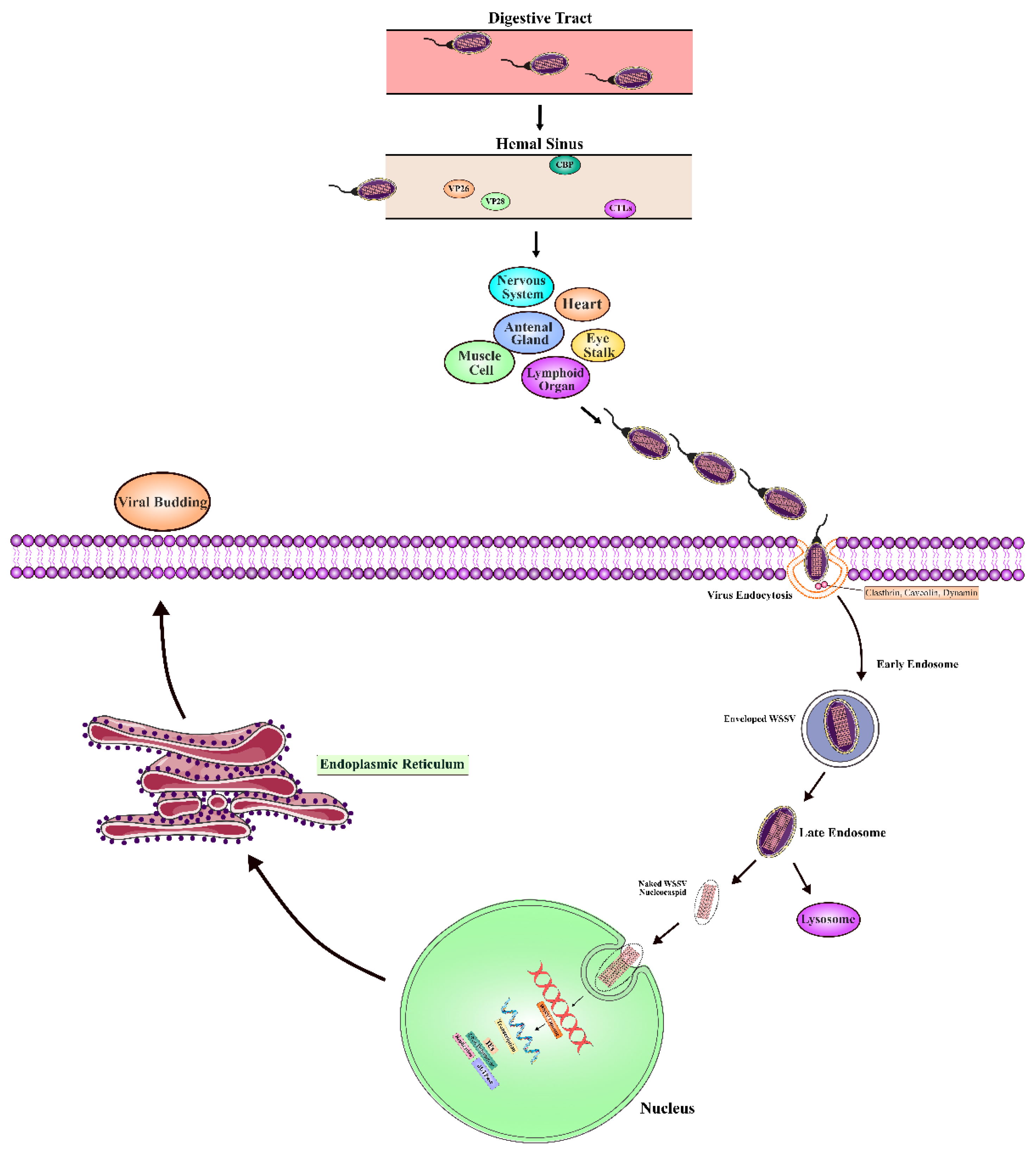 Preprints 171884 g004