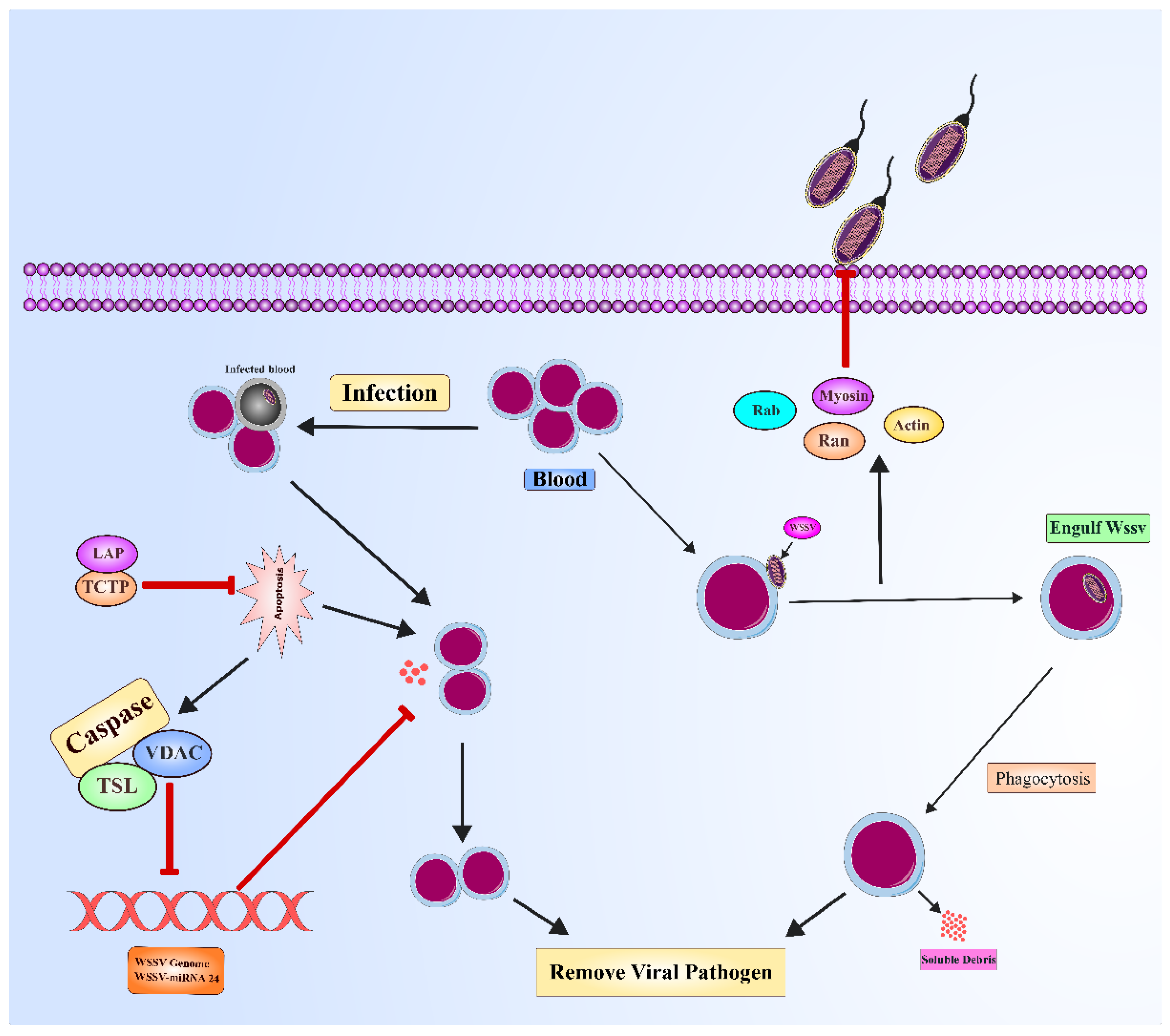Preprints 171884 g006
