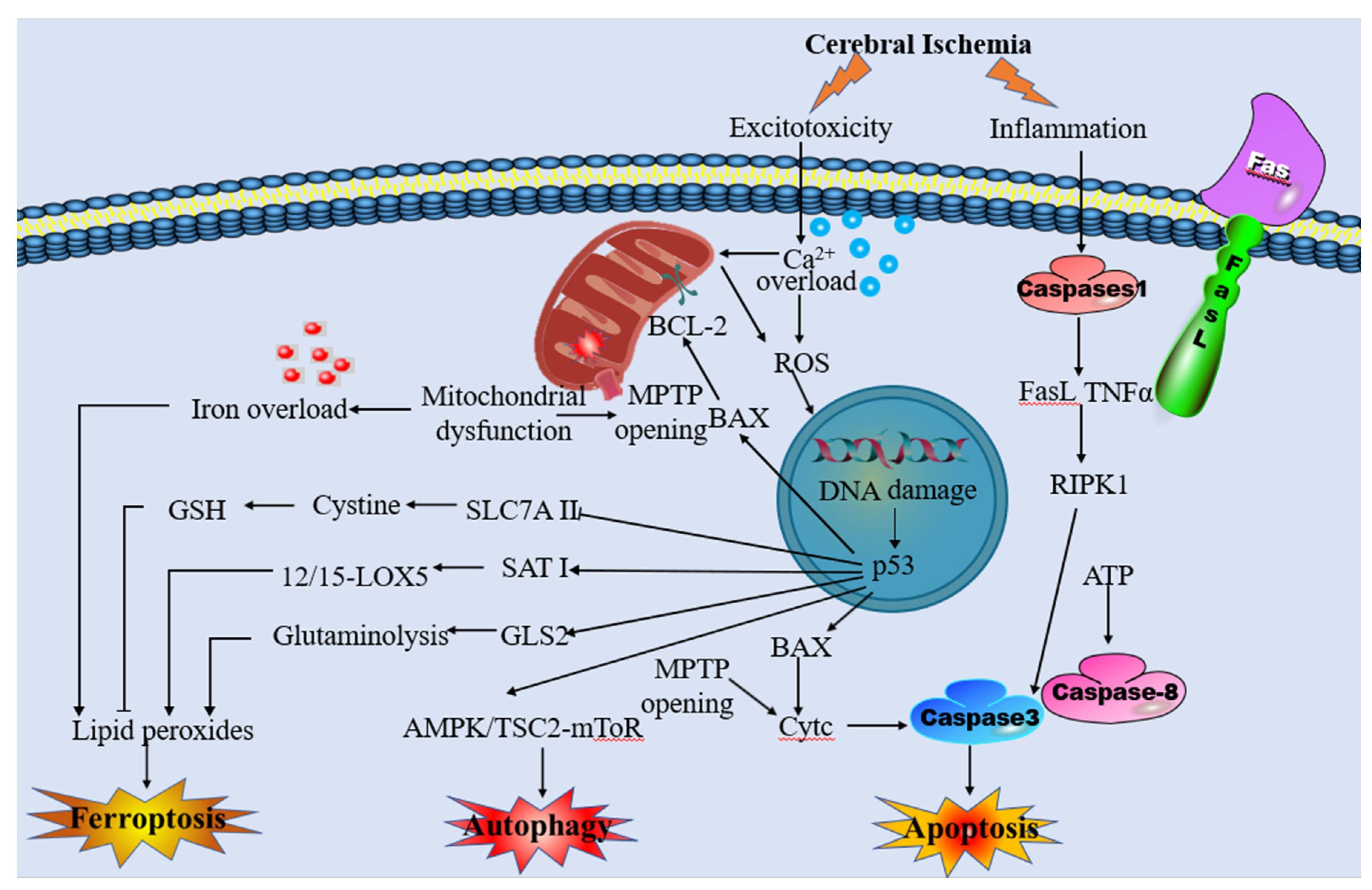Preprints 81444 g001