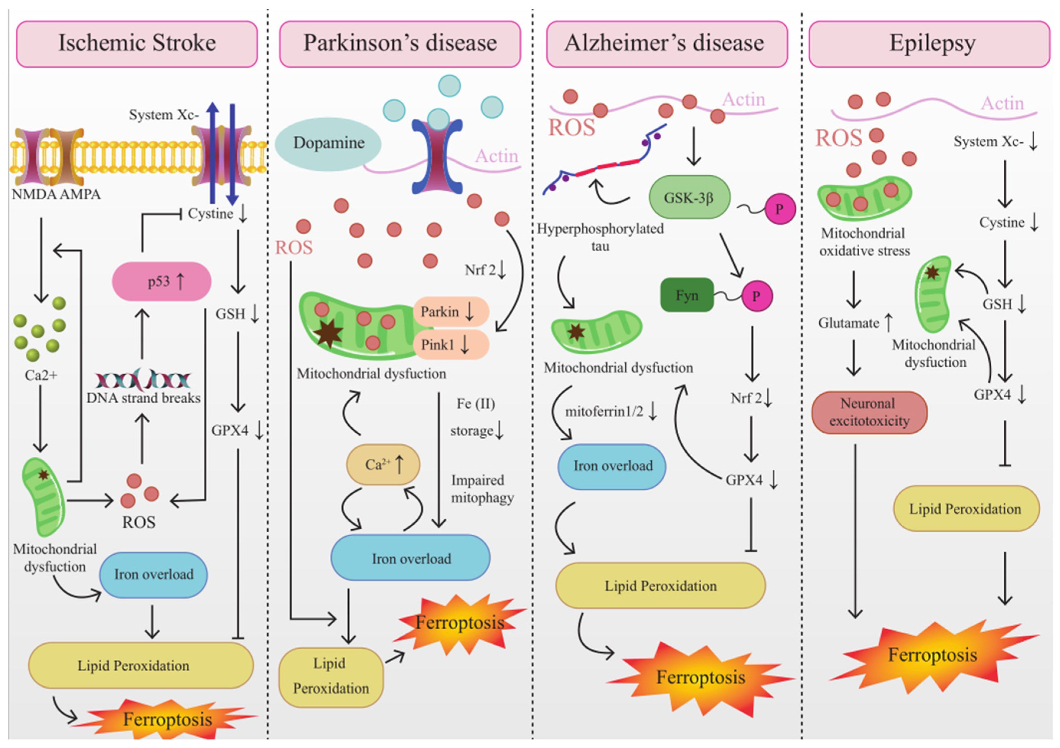 Preprints 81444 g002
