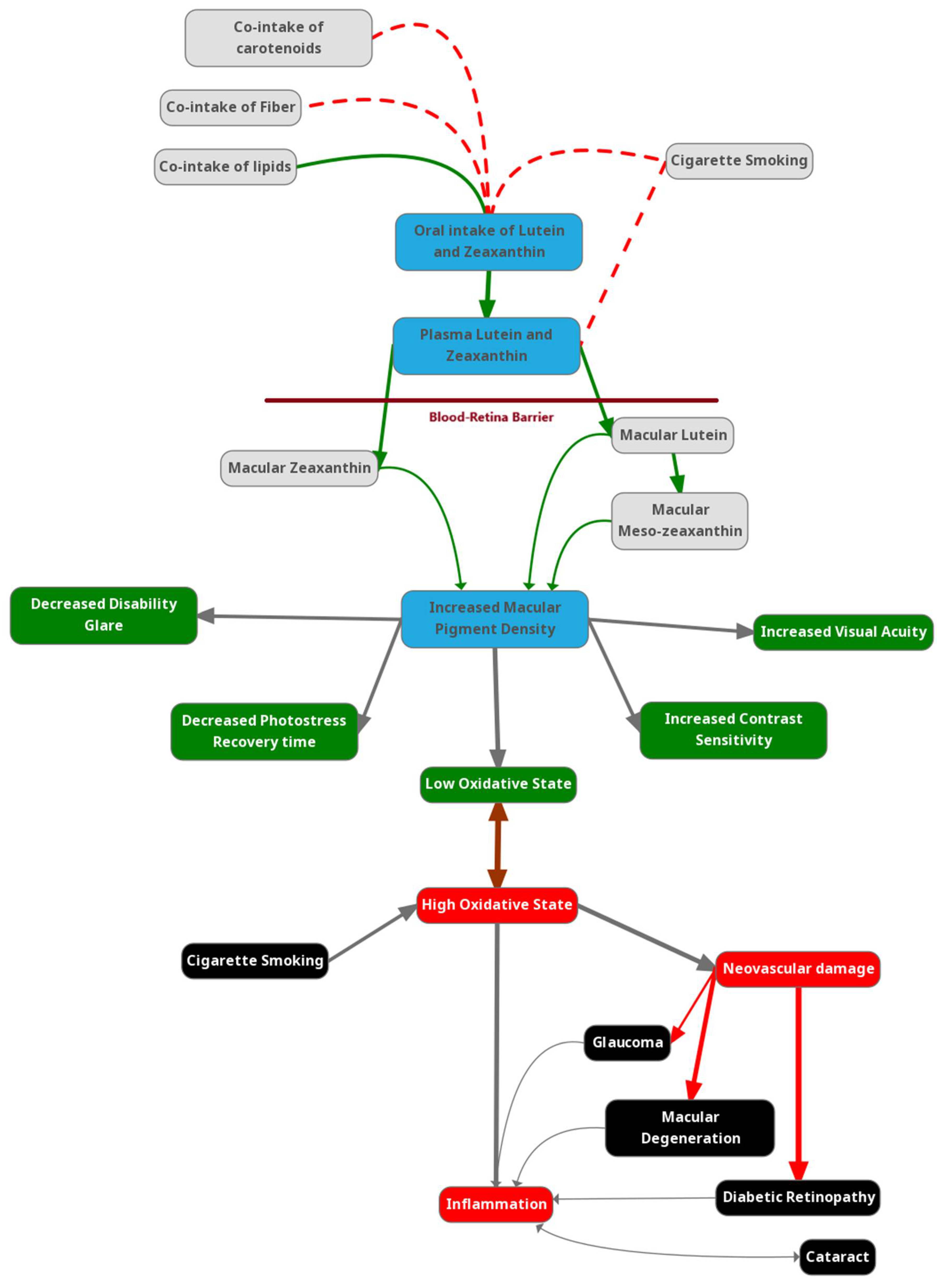 Preprints 111677 g001