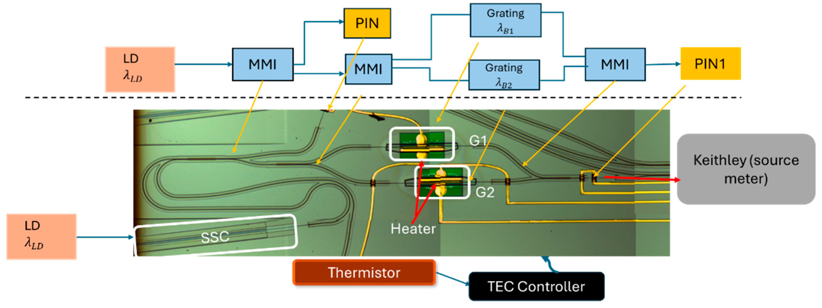 Preprints 143748 g003