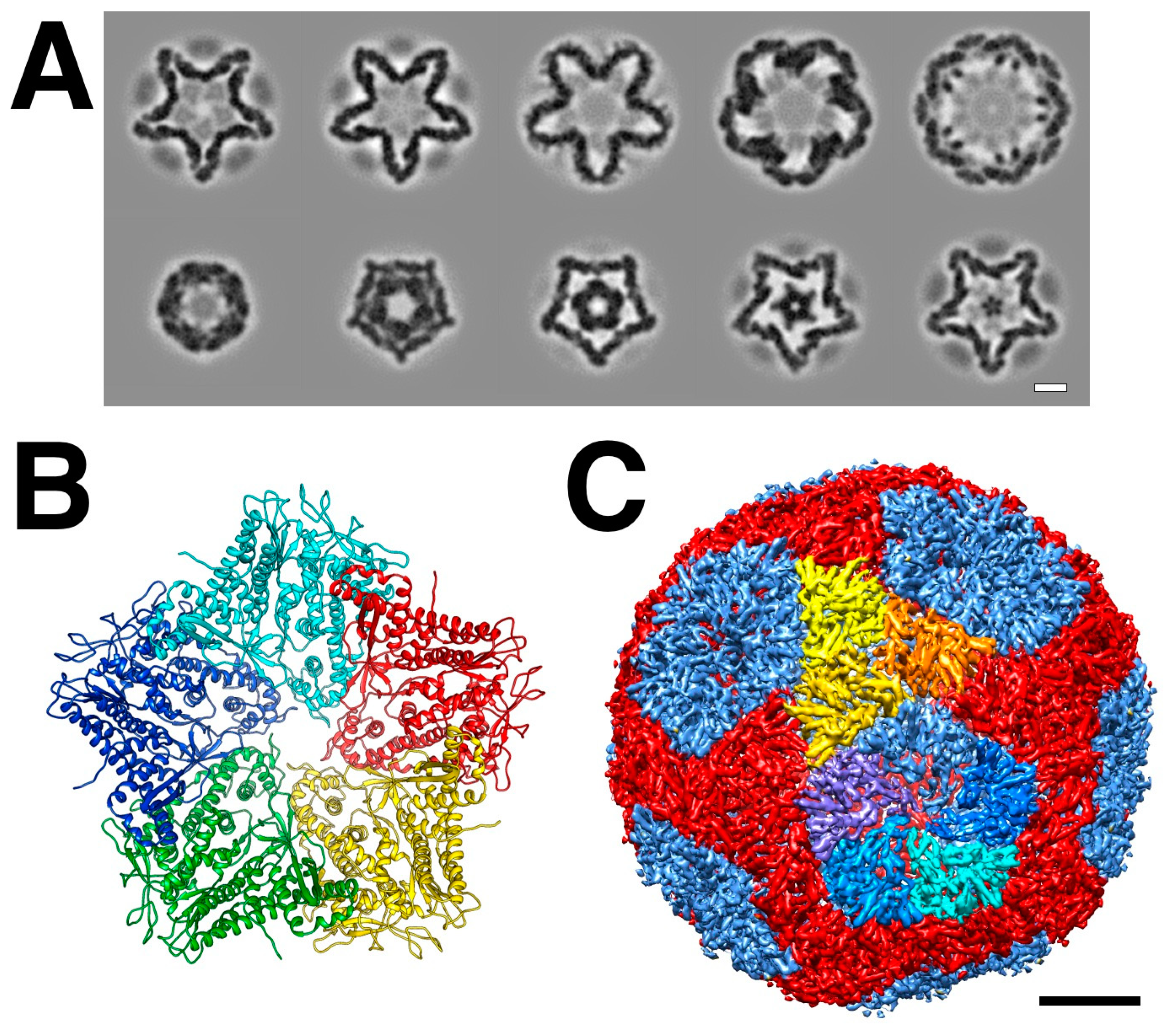 Preprints 88627 g002