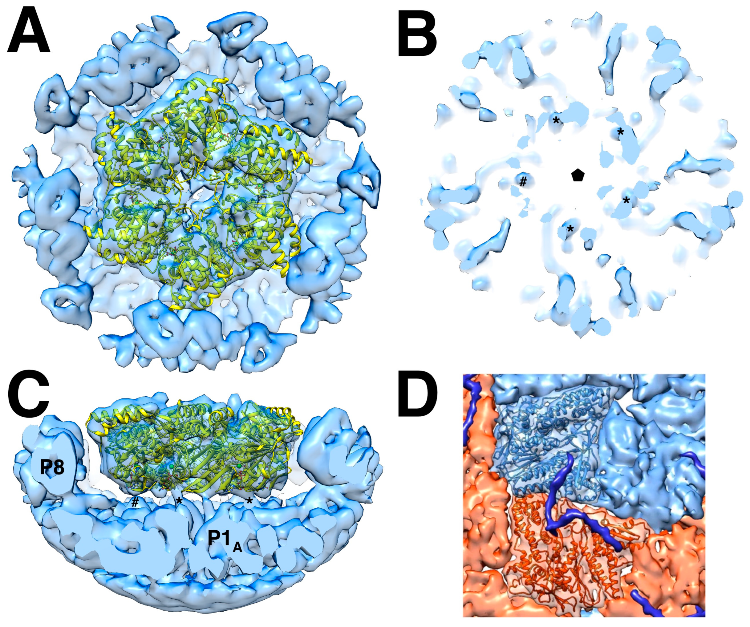 Preprints 88627 g003