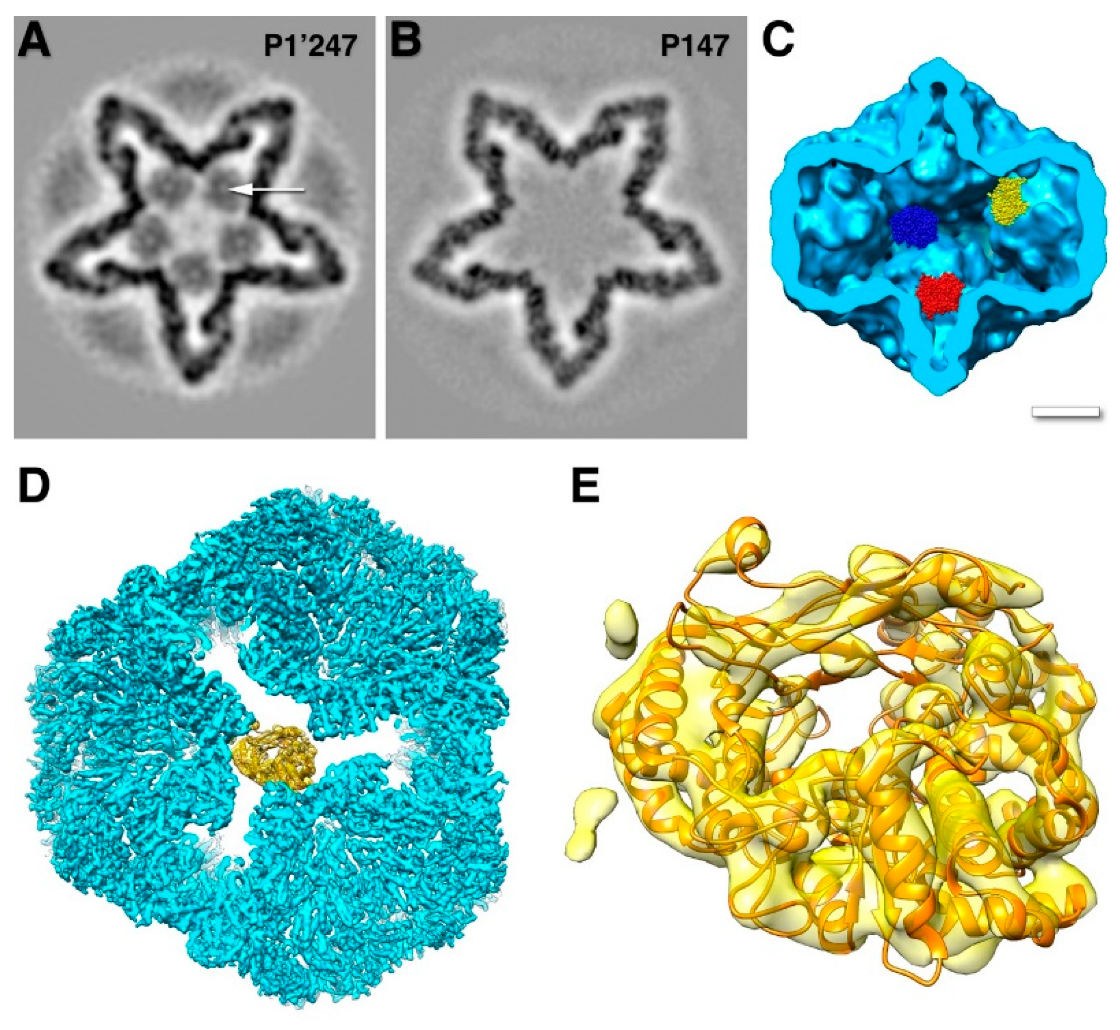 Preprints 88627 g004