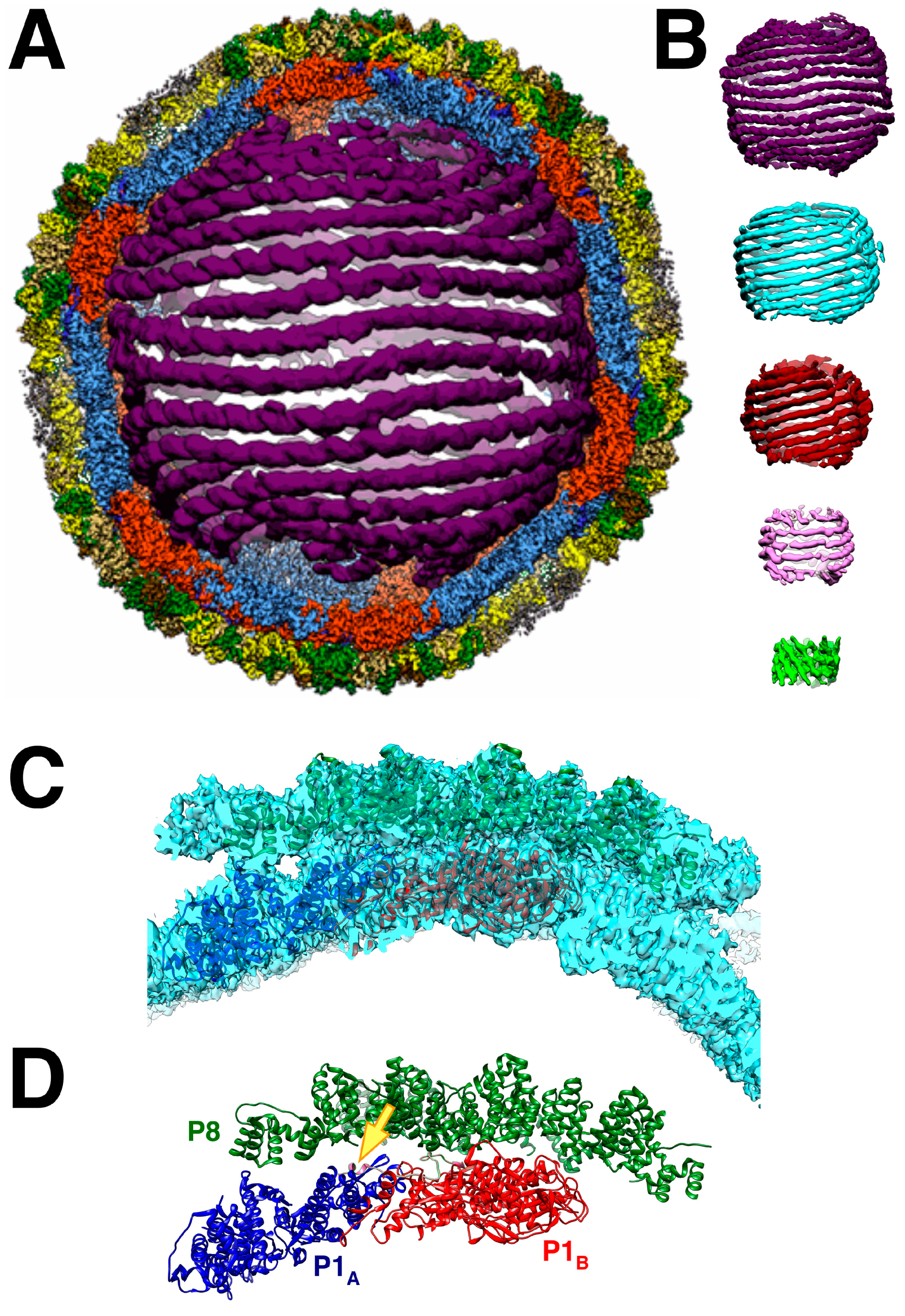 Preprints 88627 g007