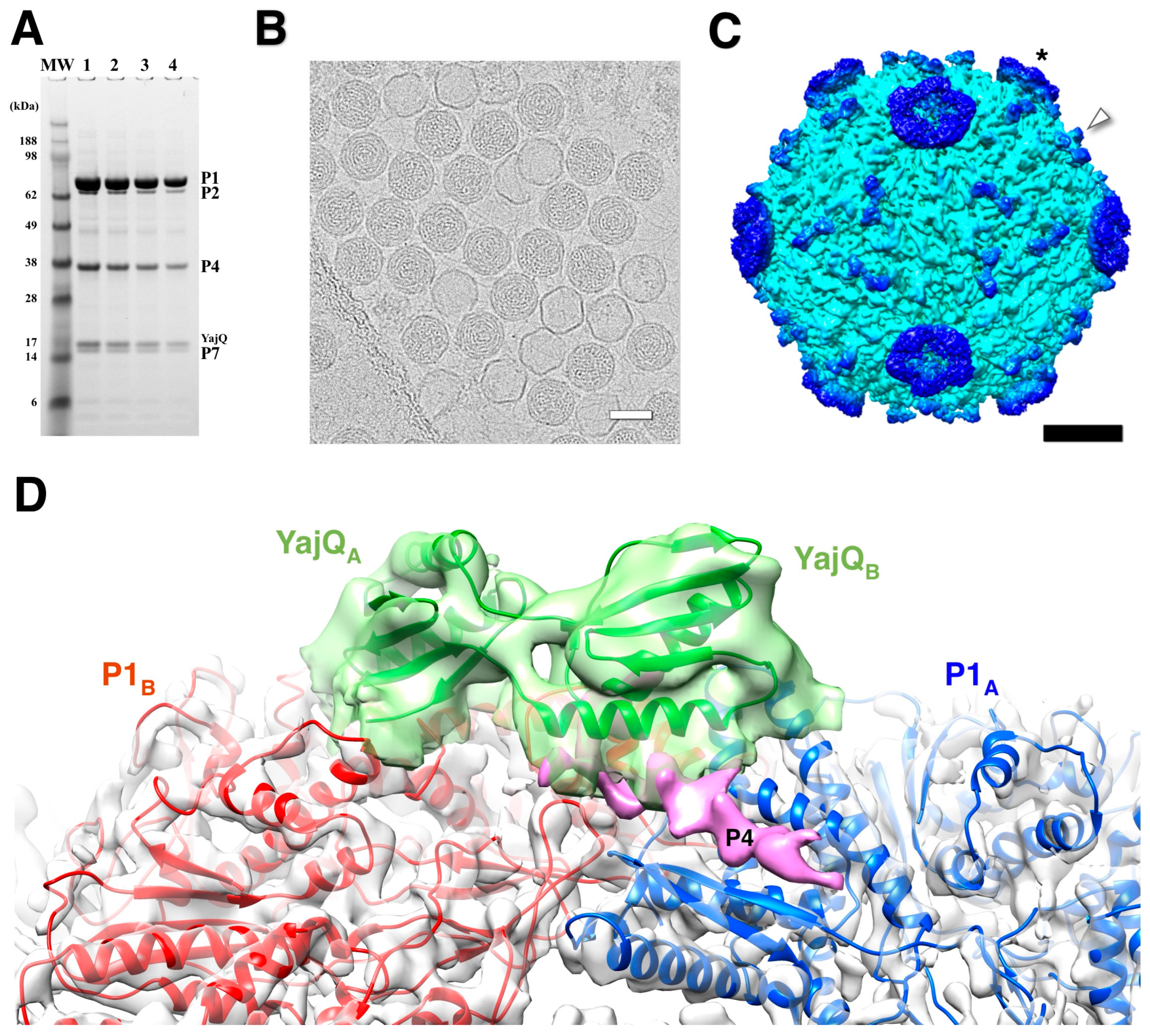Preprints 88627 g008