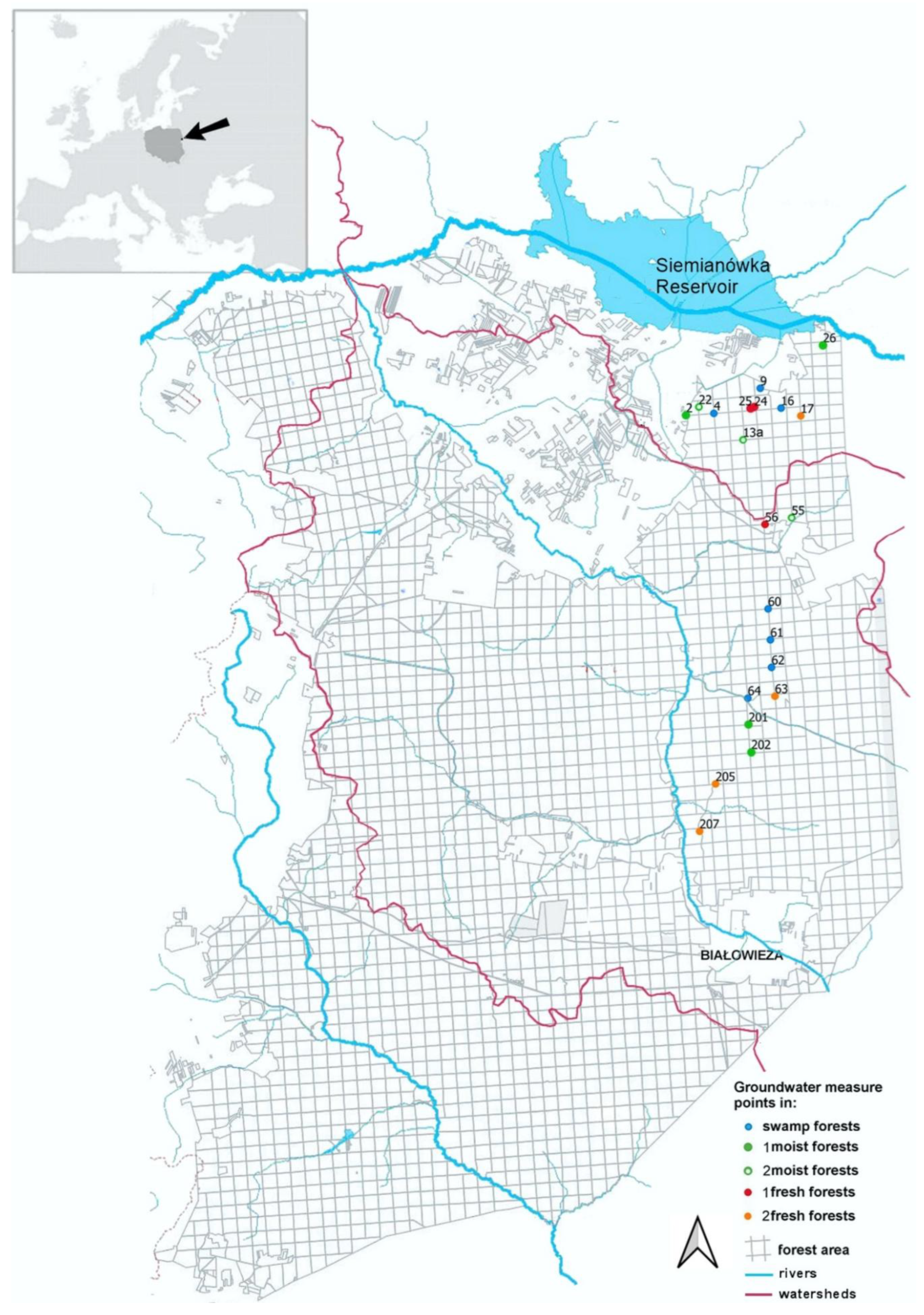 Preprints 159803 g001