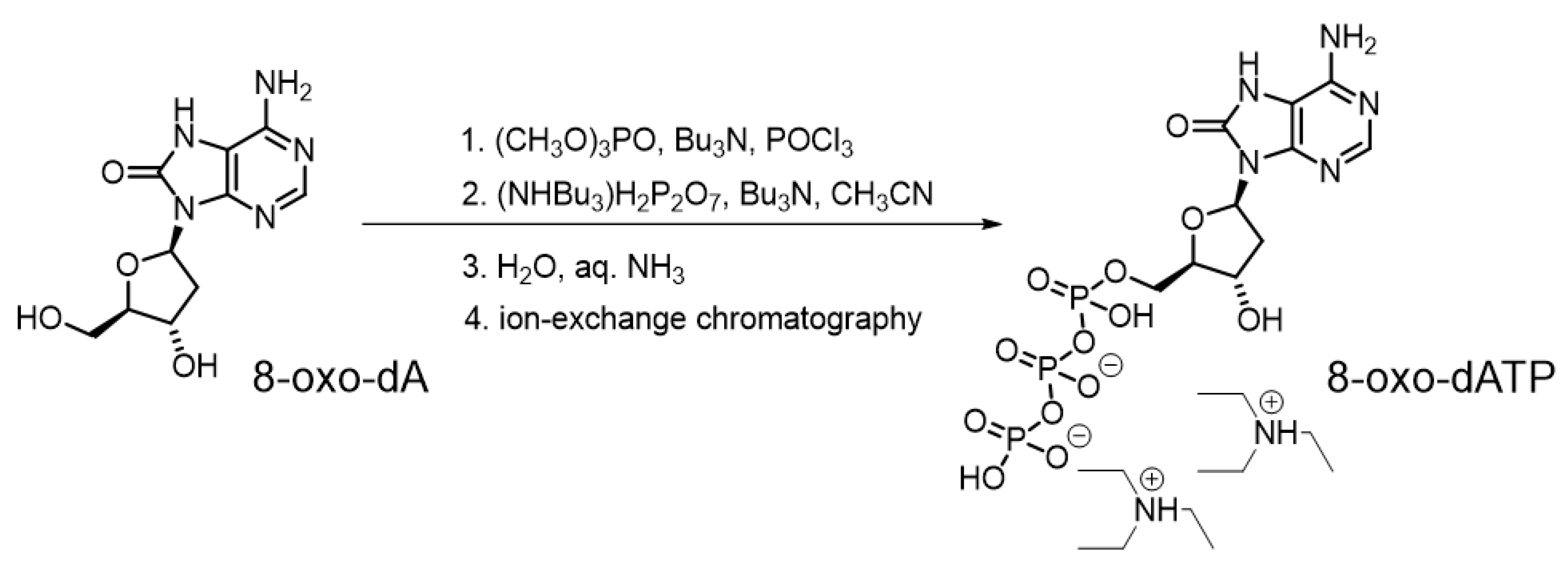 Preprints 189596 g001