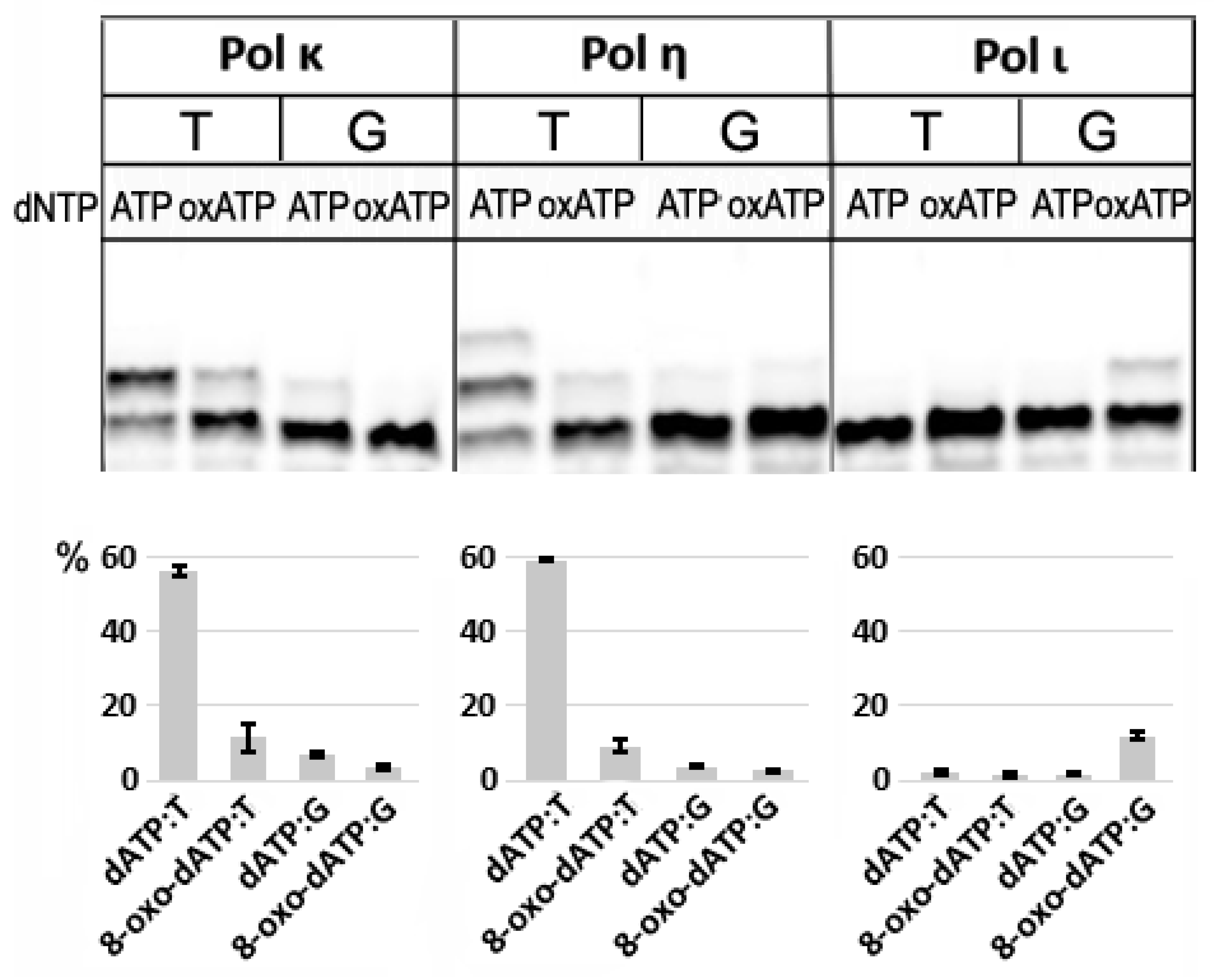 Preprints 189596 g002