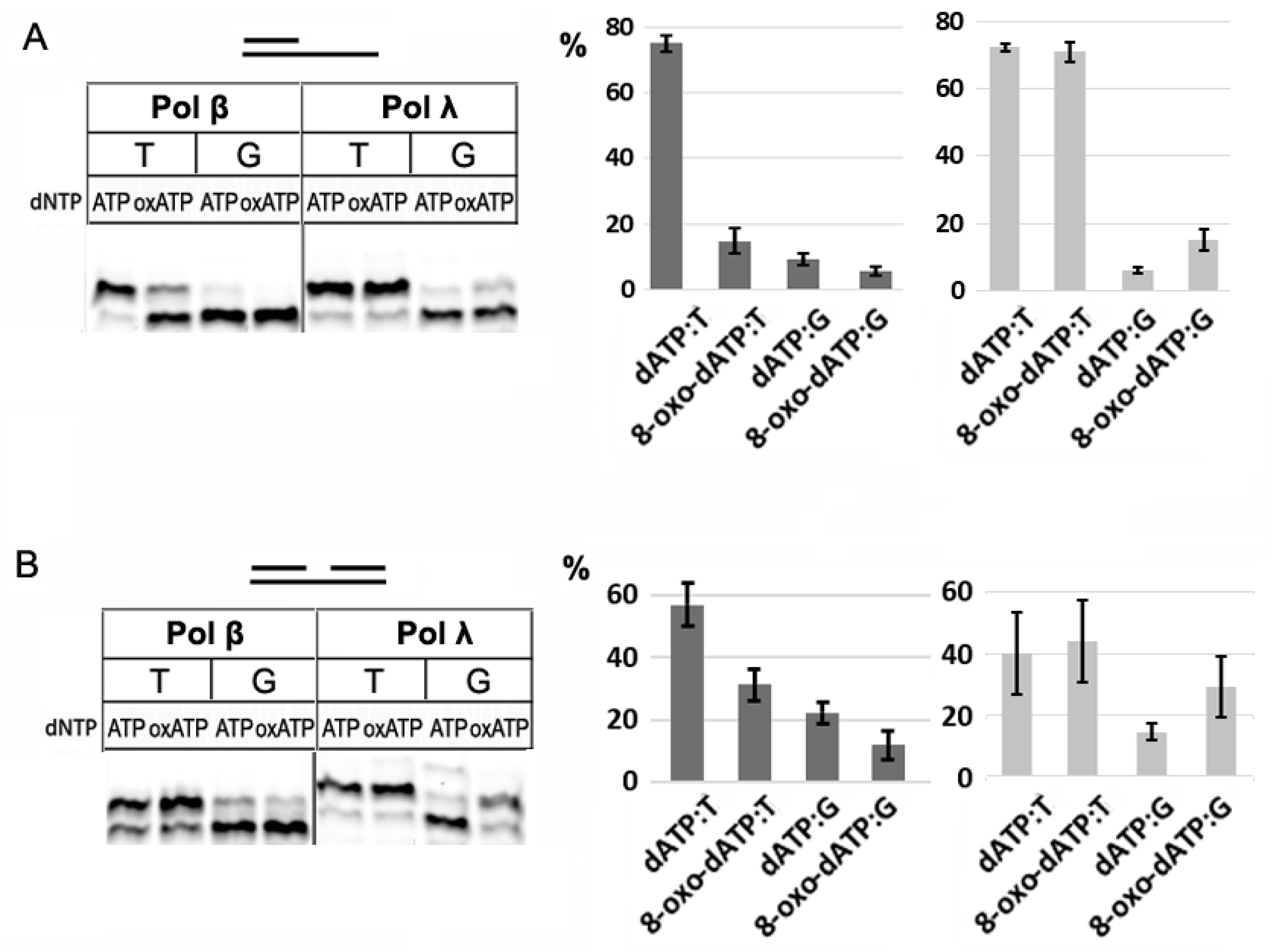 Preprints 189596 g003