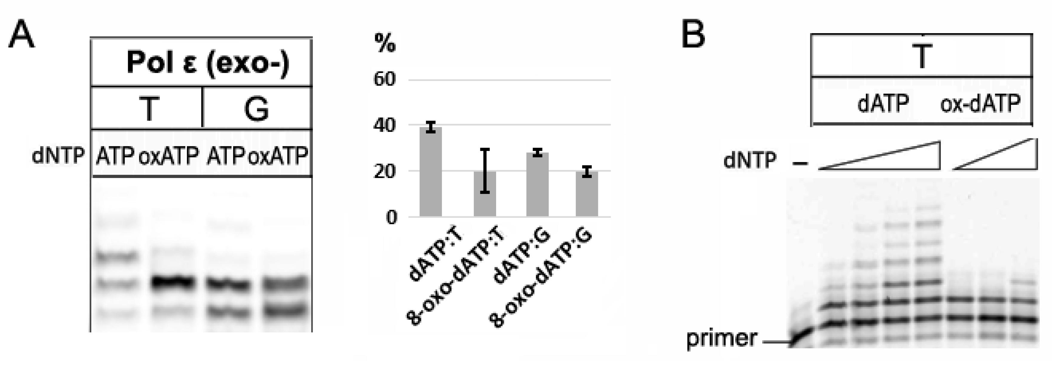 Preprints 189596 g004