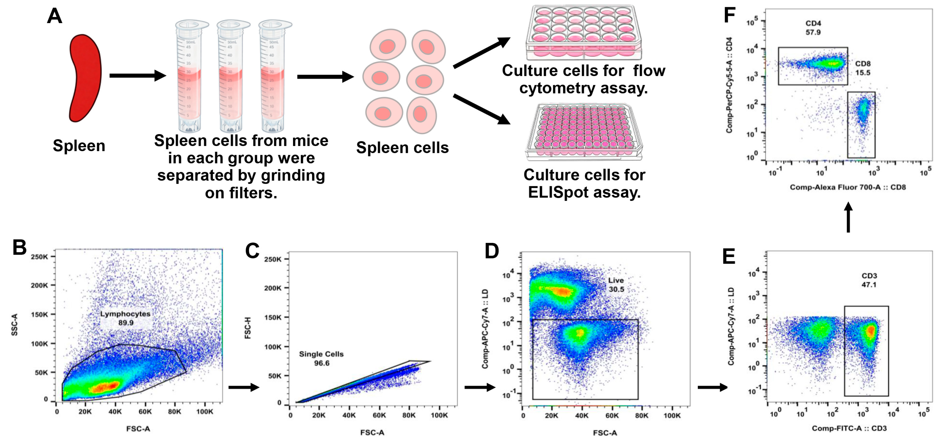Preprints 205948 g003