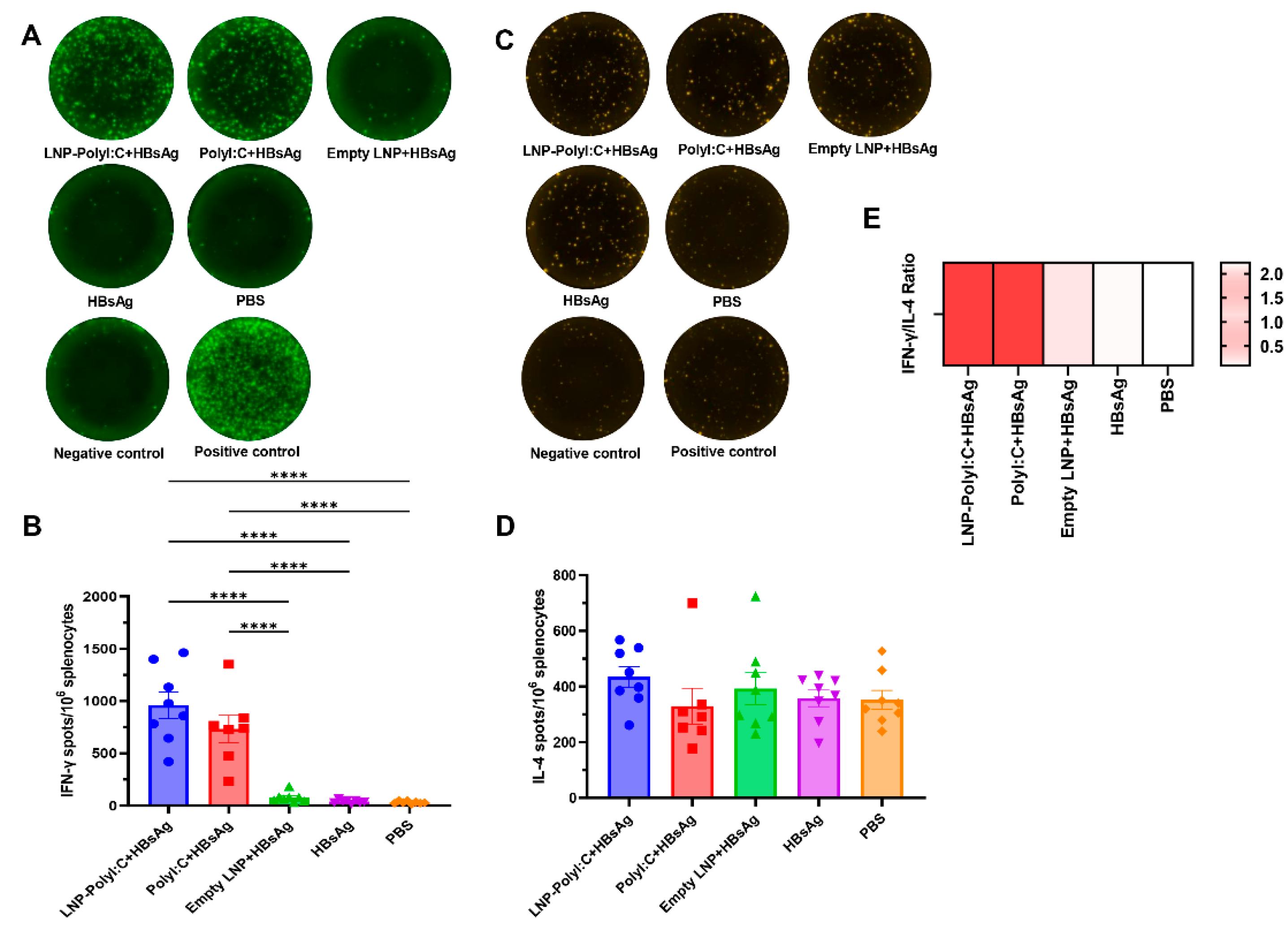 Preprints 205948 g006