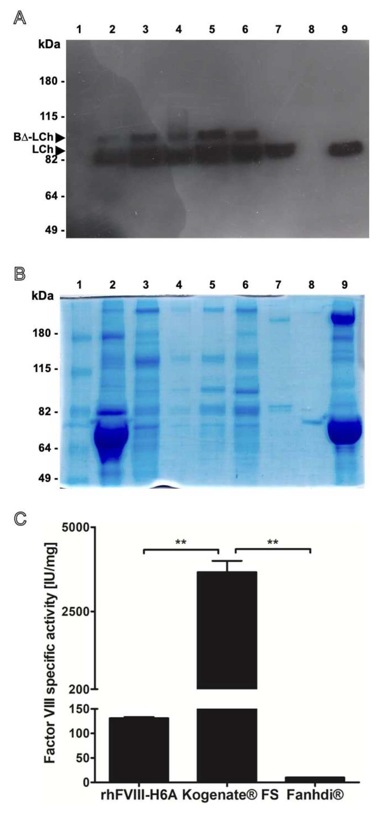 Preprints 179352 g001