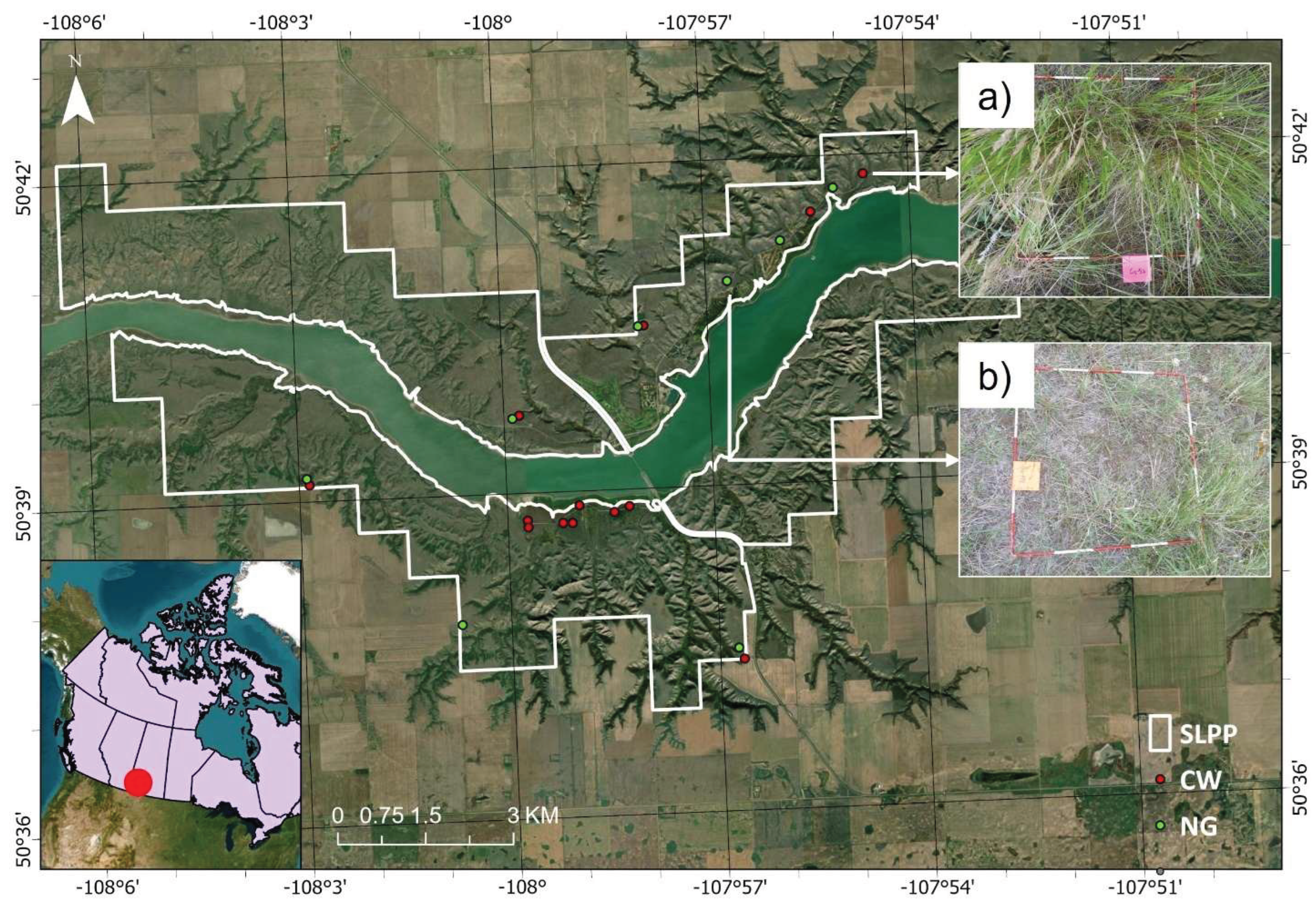 Preprints 174198 g001