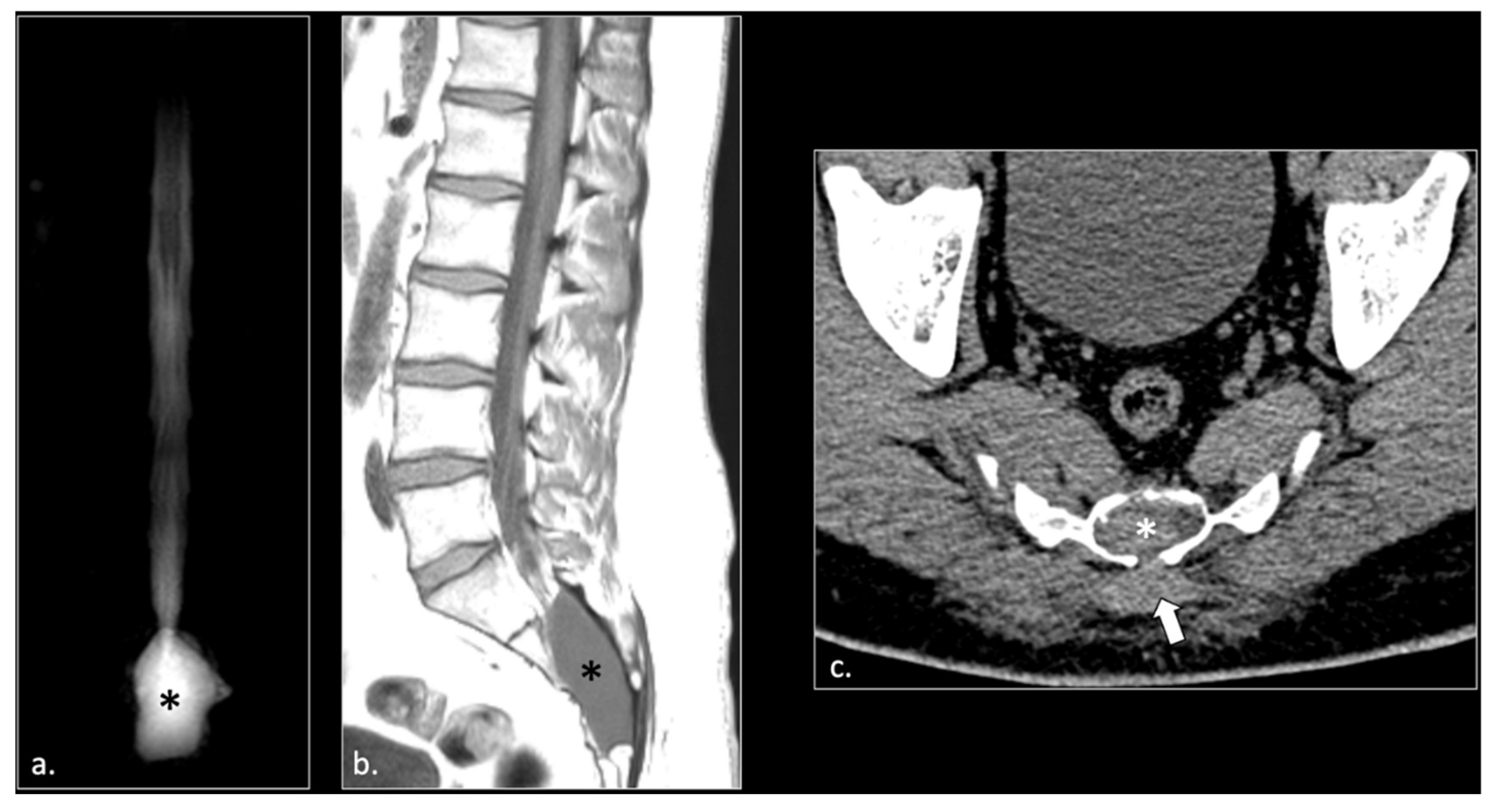 Preprints 185458 g002