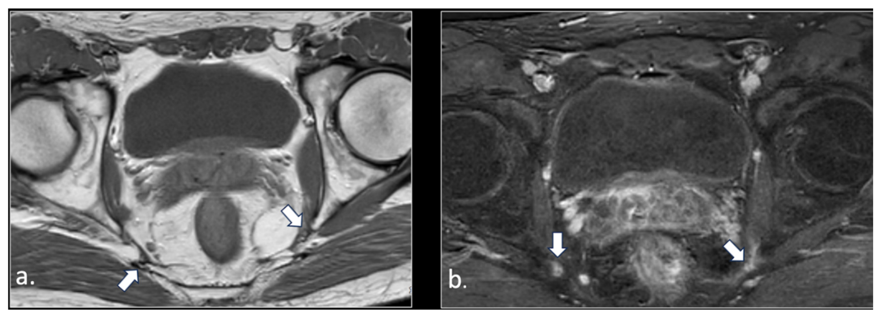 Preprints 185458 g004