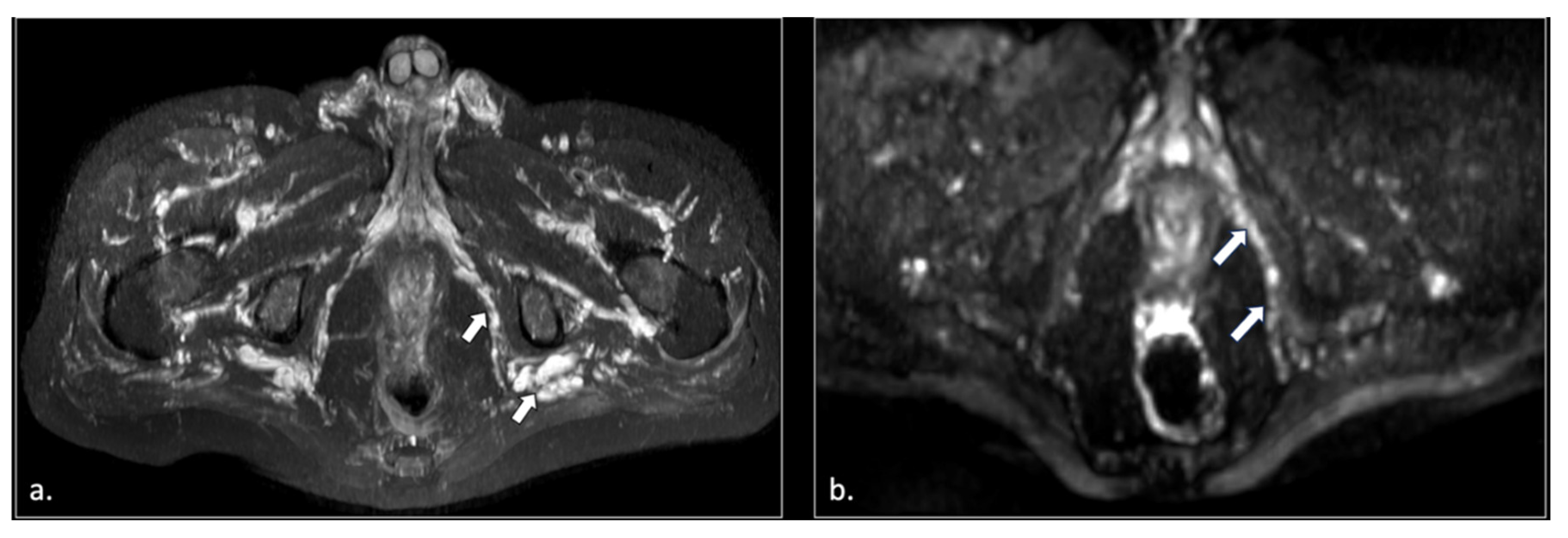 Preprints 185458 g005