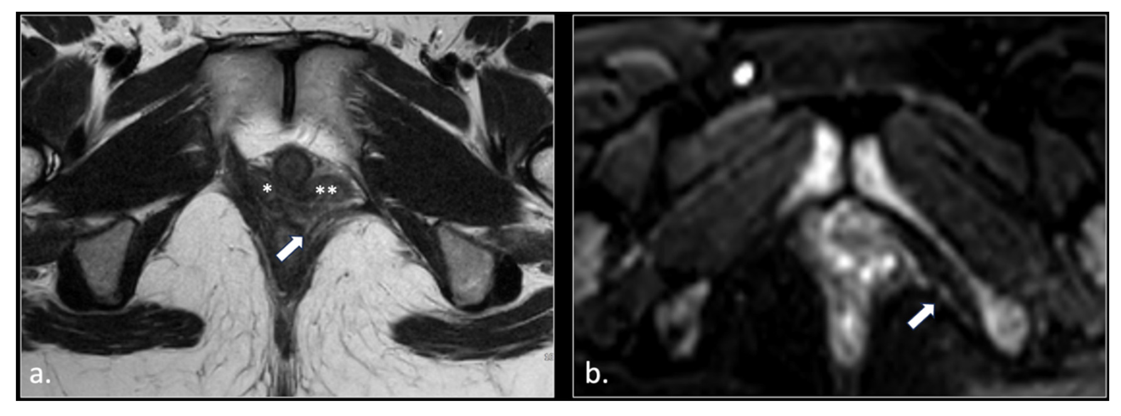Preprints 185458 g006
