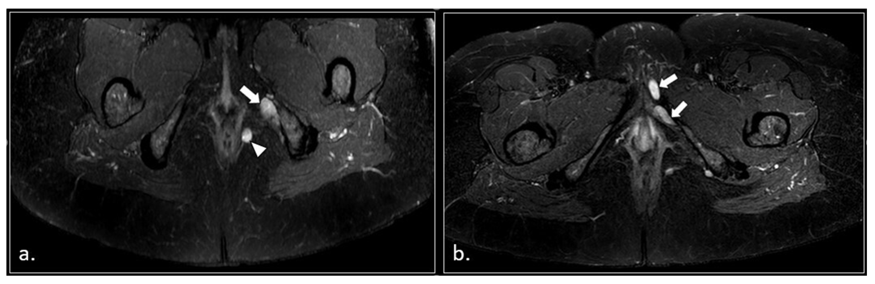 Preprints 185458 g008