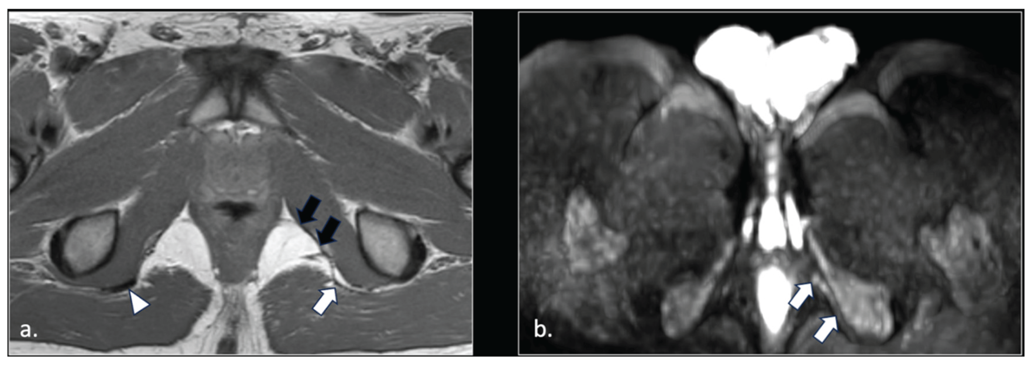 Preprints 185458 i001