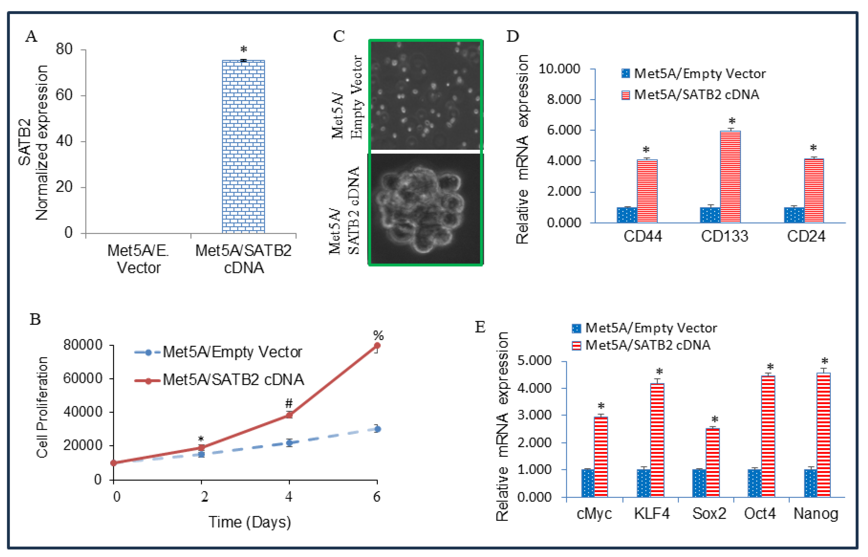 Preprints 189690 g002