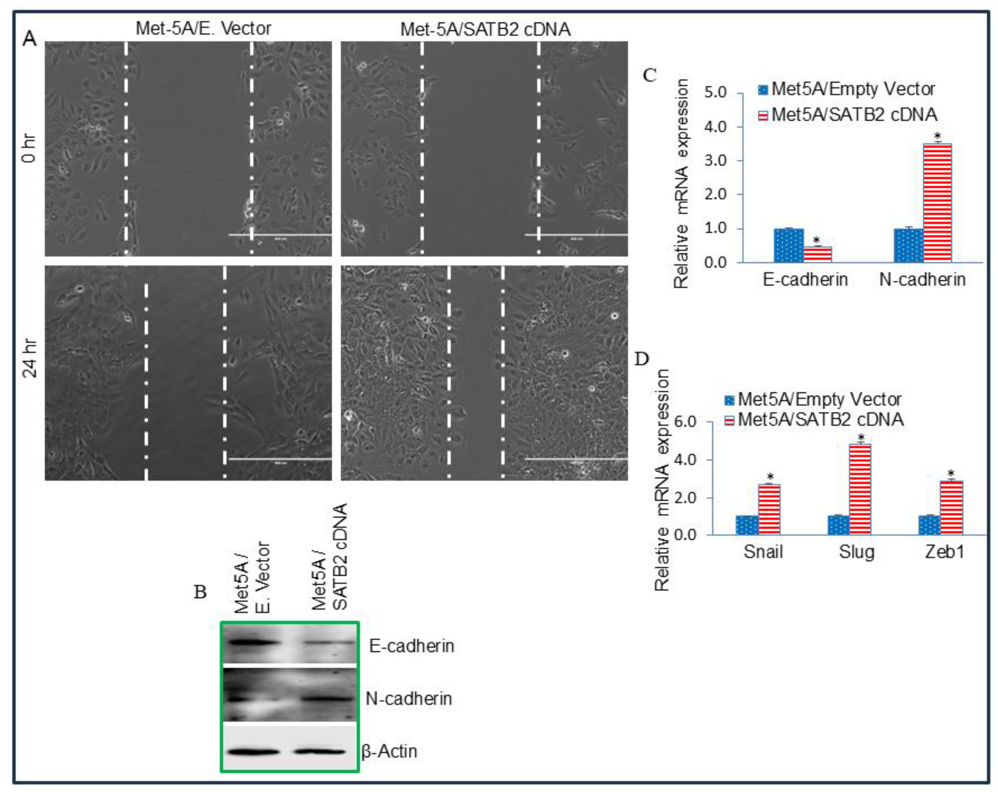 Preprints 189690 g003