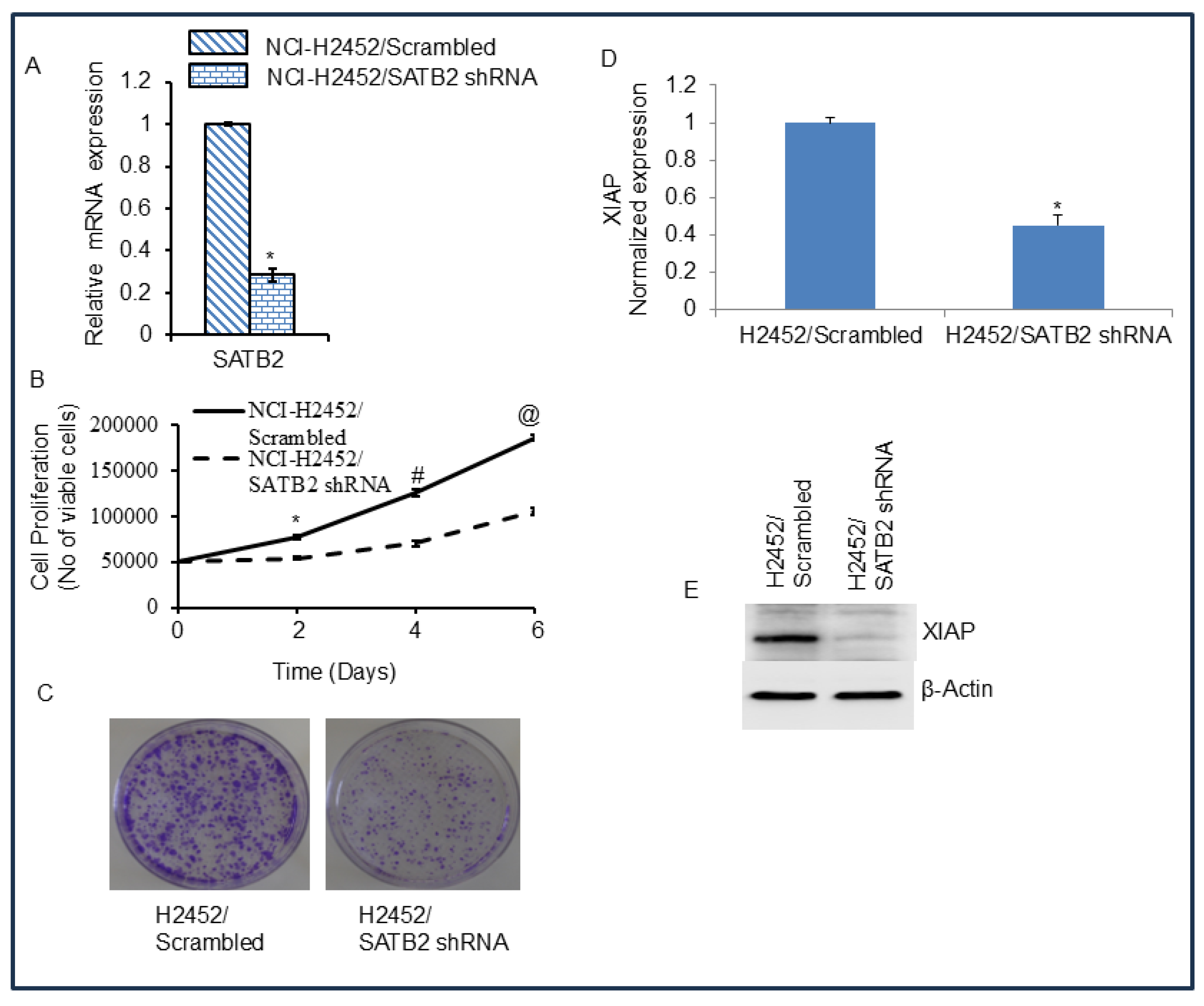 Preprints 189690 g004