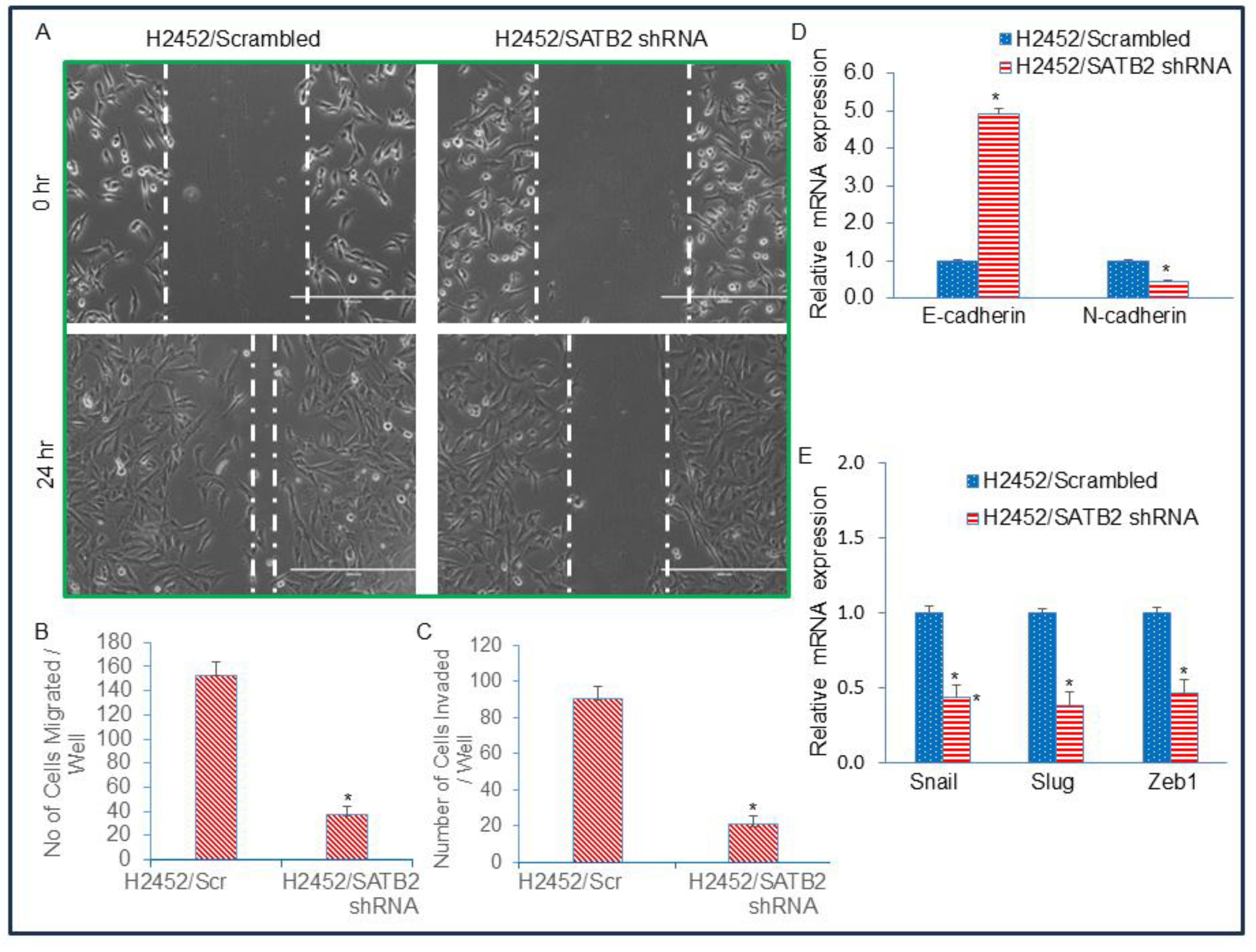 Preprints 189690 g005