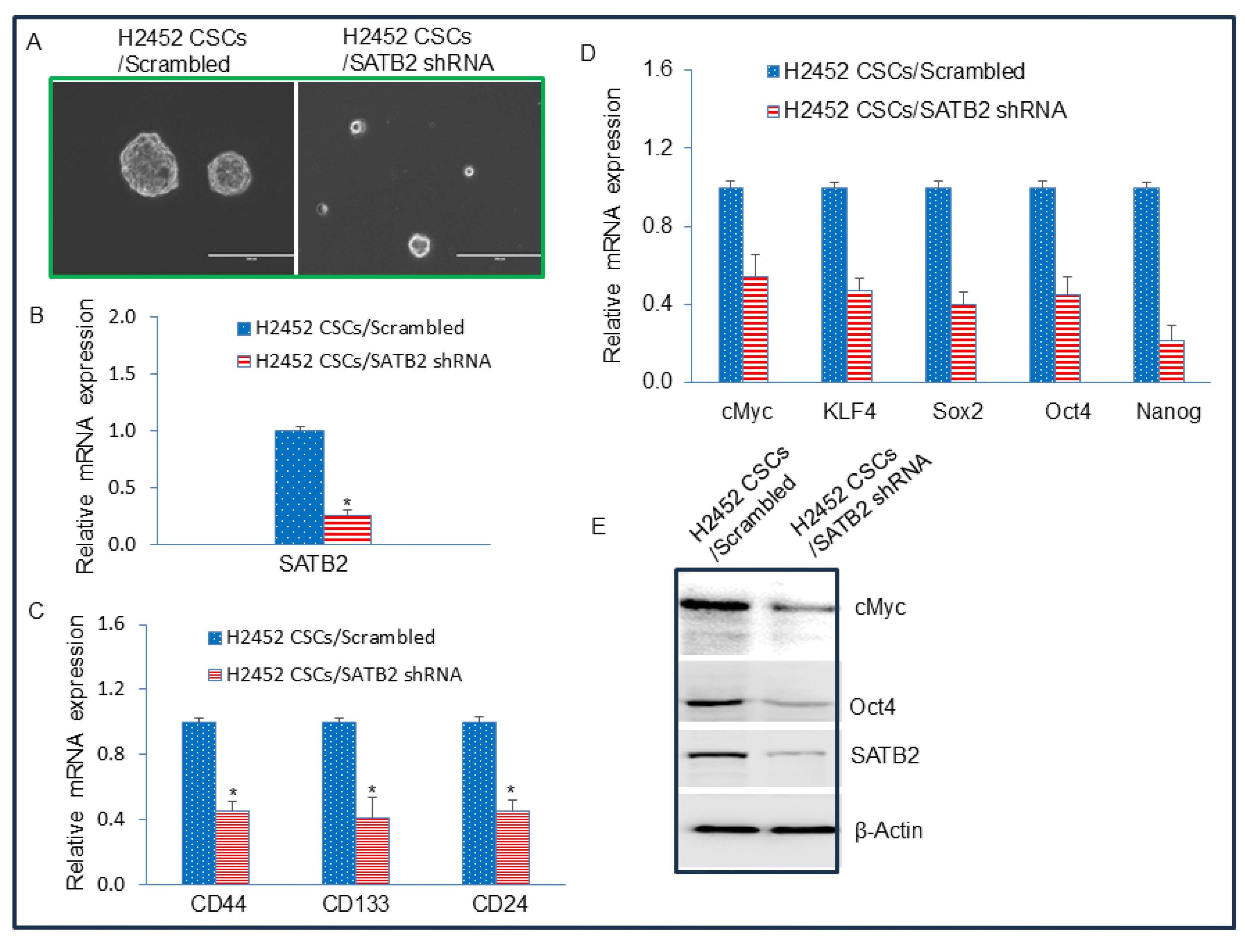Preprints 189690 g006