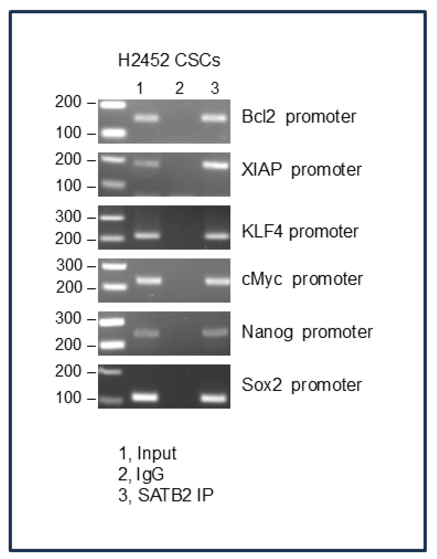 Preprints 189690 g007